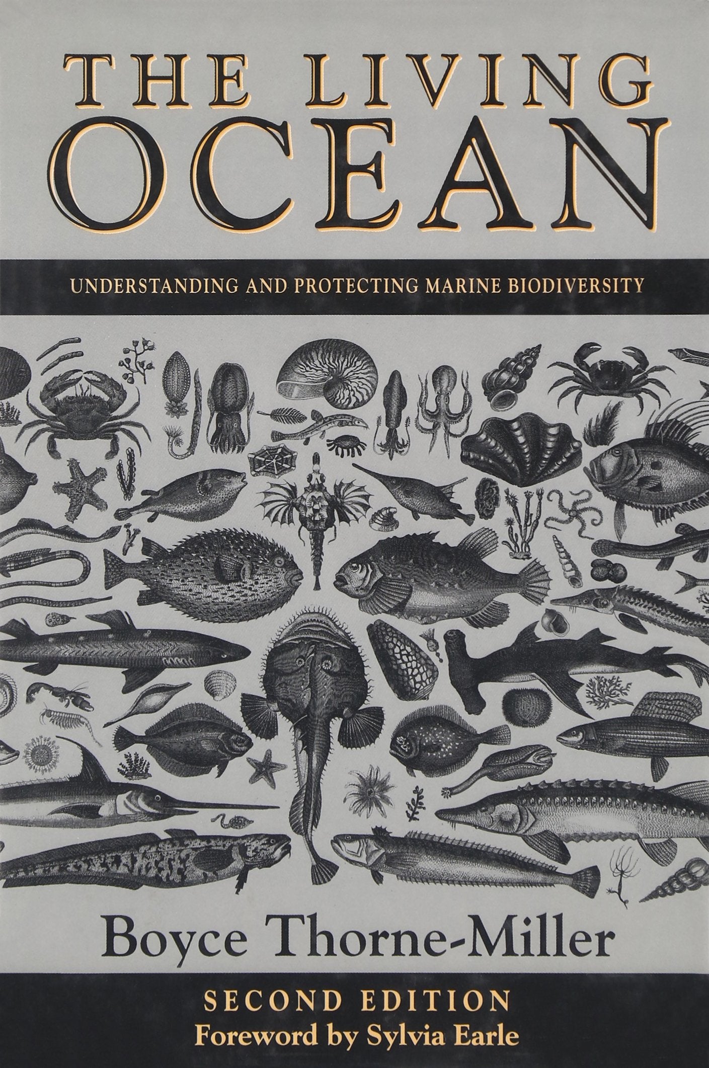 The Living Ocean: Understanding and Protecting Marine Biodiversity,Used