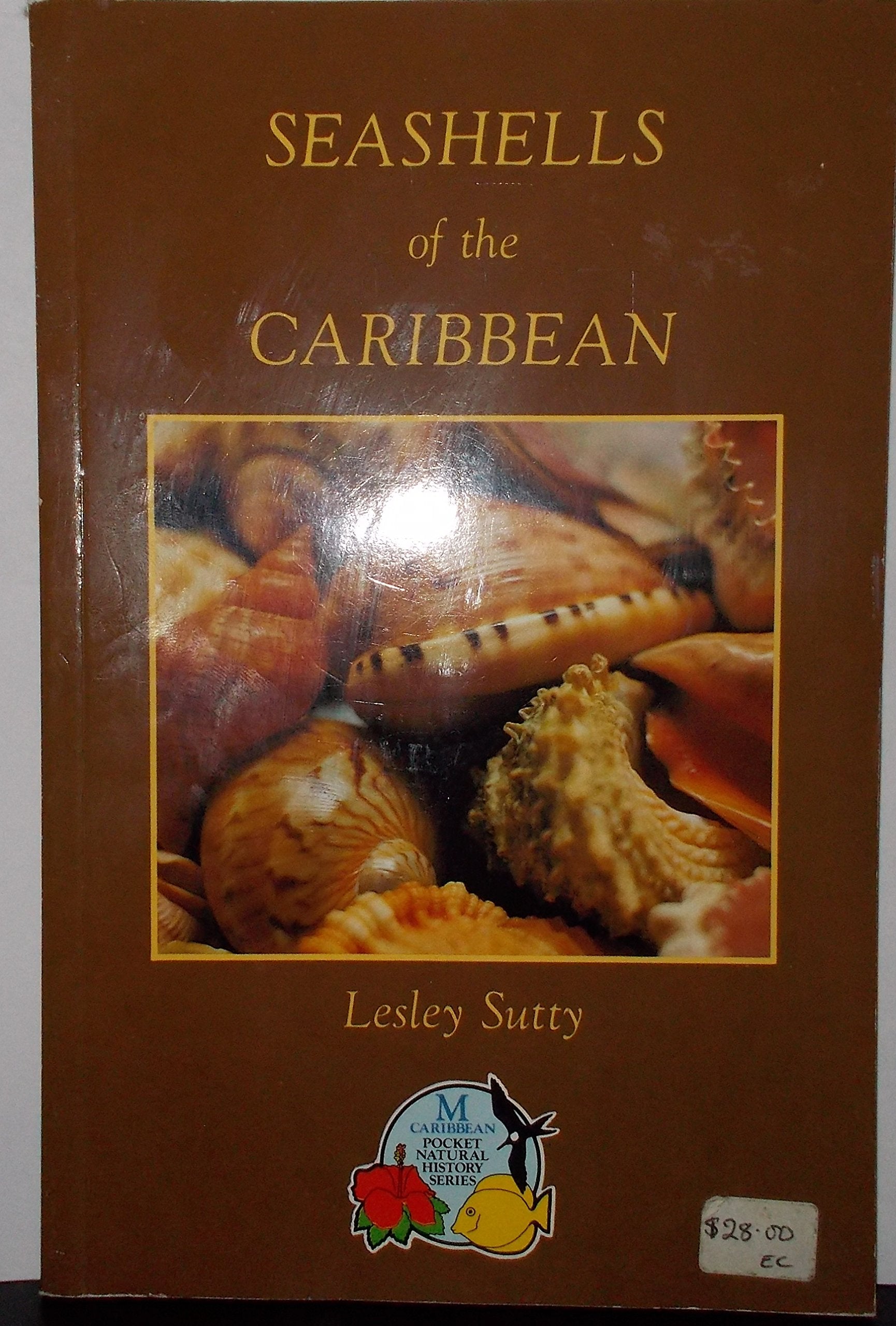 Seashells of the Caribbean,Used