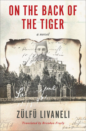 On The Back Of The Tiger: A Novel,New