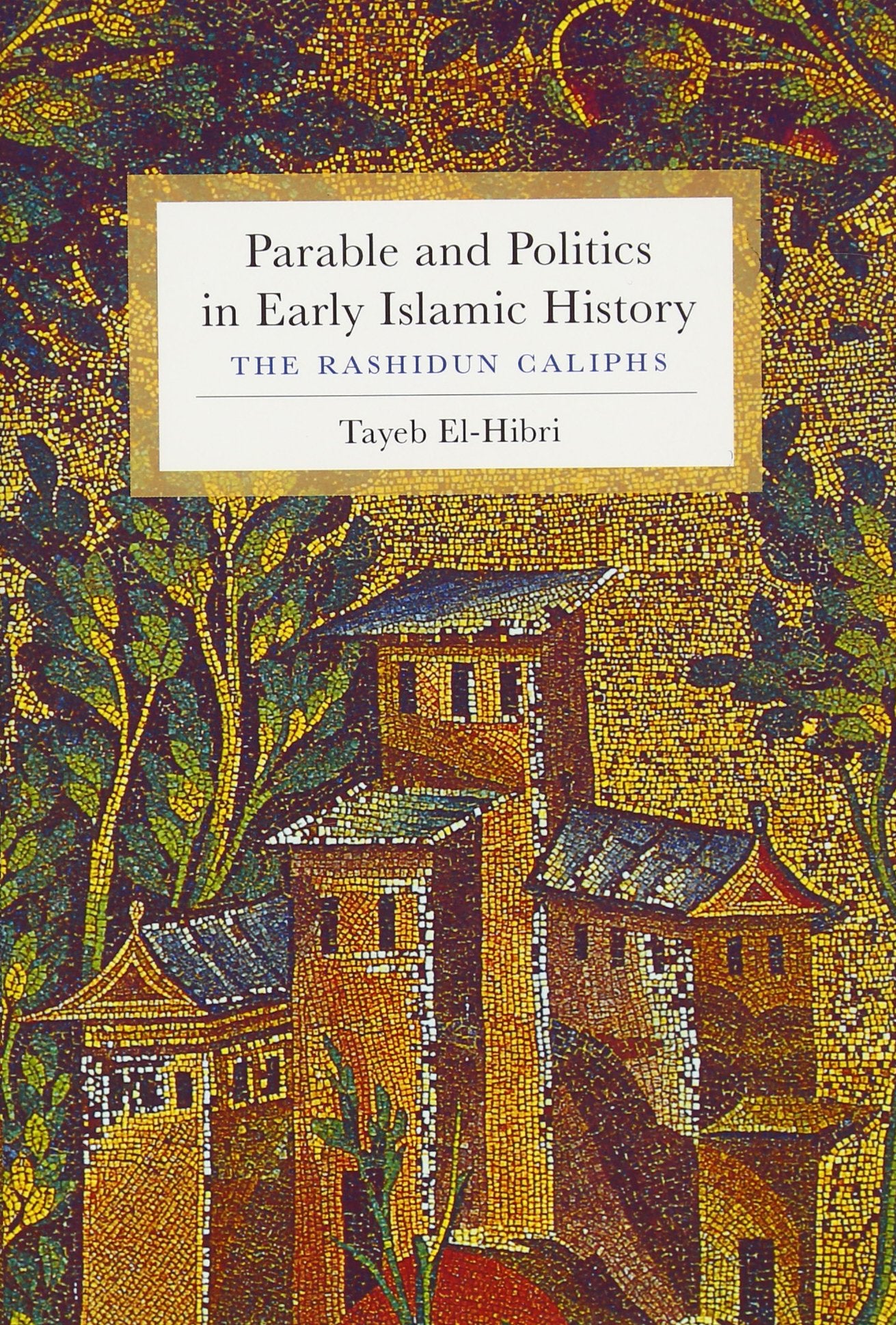 Parable And Politics In Early Islamic History: The Rashidun Caliphs,Used