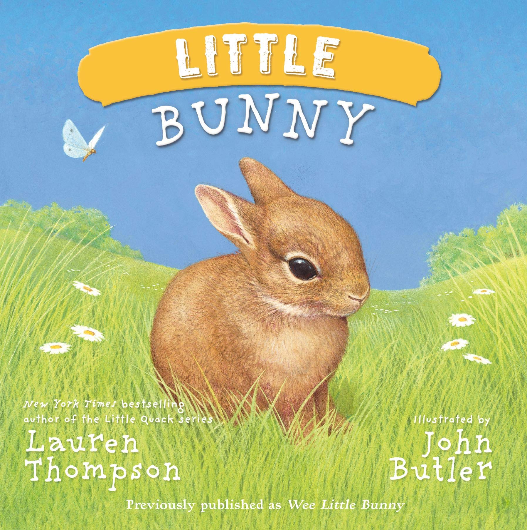 Little Bunny,Used