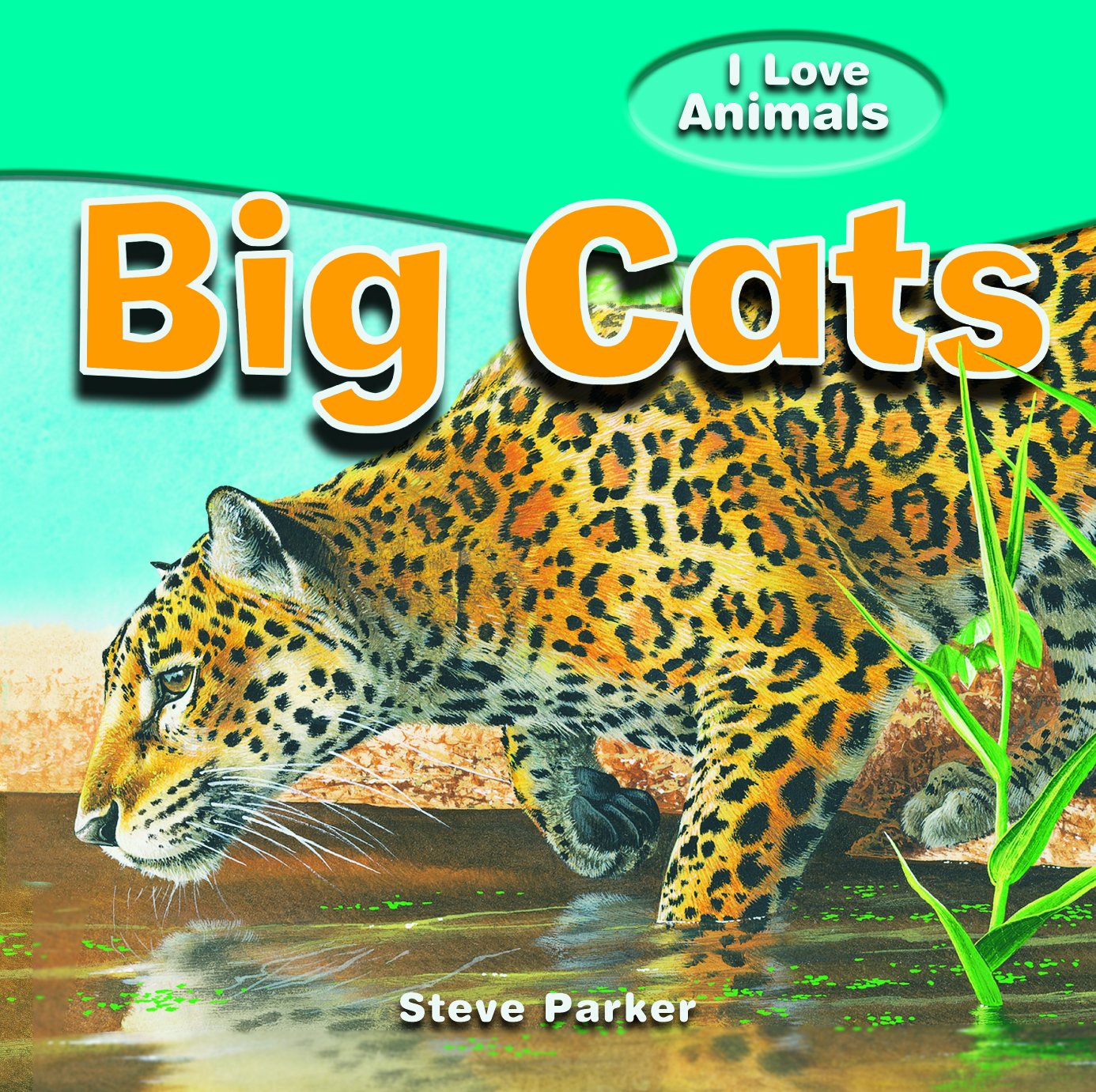 Big Cats (I Love Animals),Used