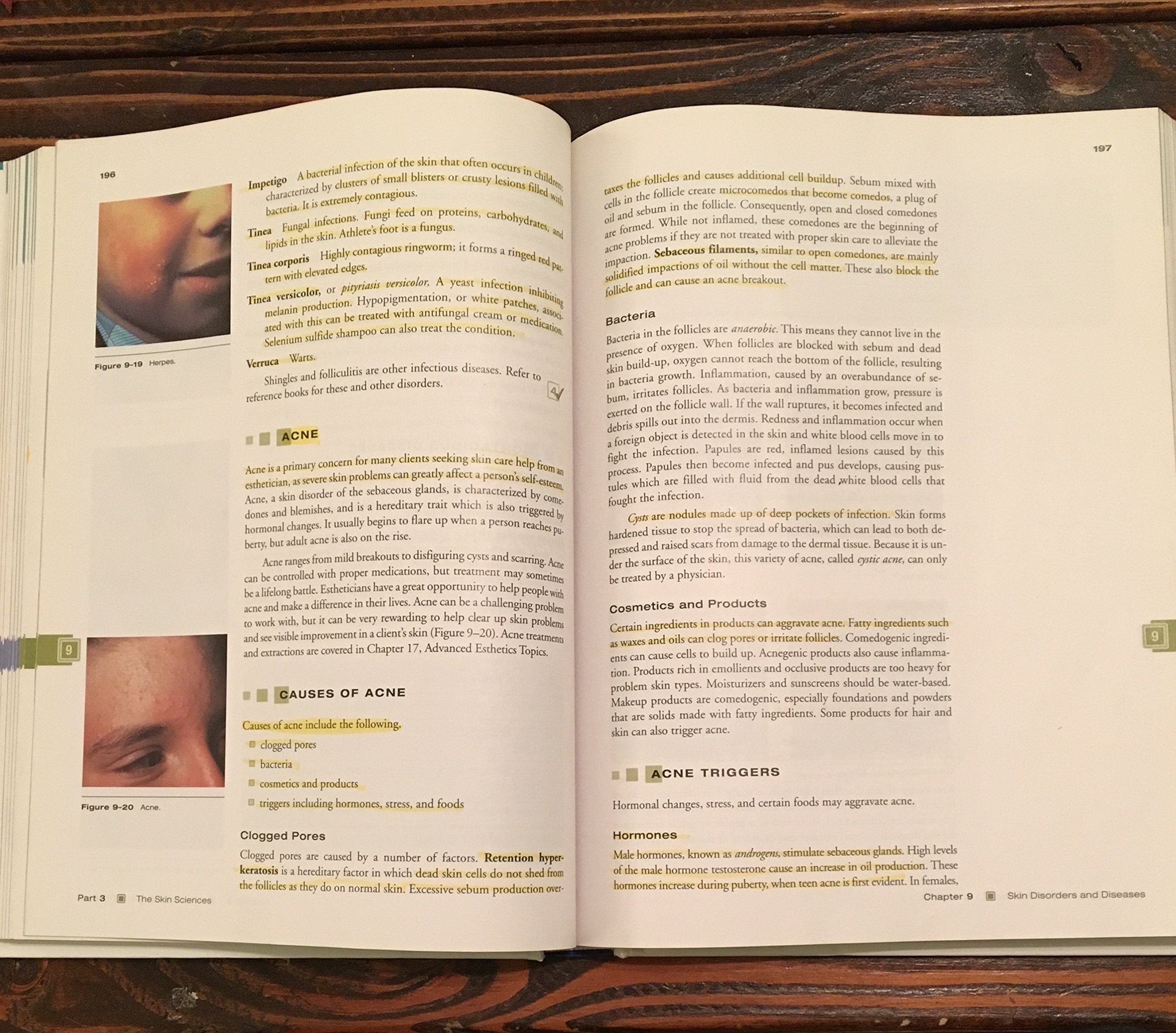 Milady'S Standard Fundamentals For Estheticians 9E  Workbook