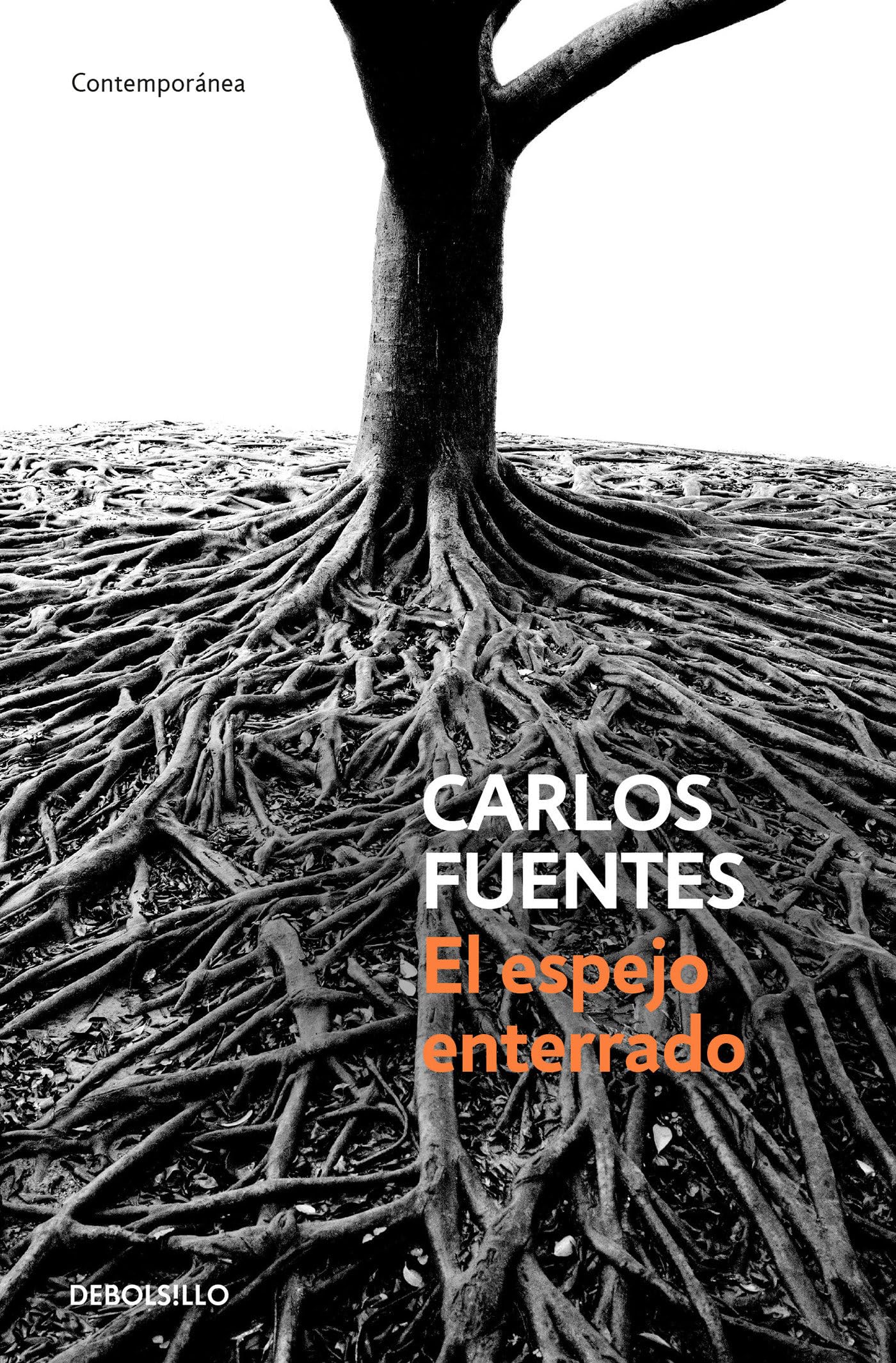 El Espejo Enterrado / The Buried Mirror (Spanish Edition)