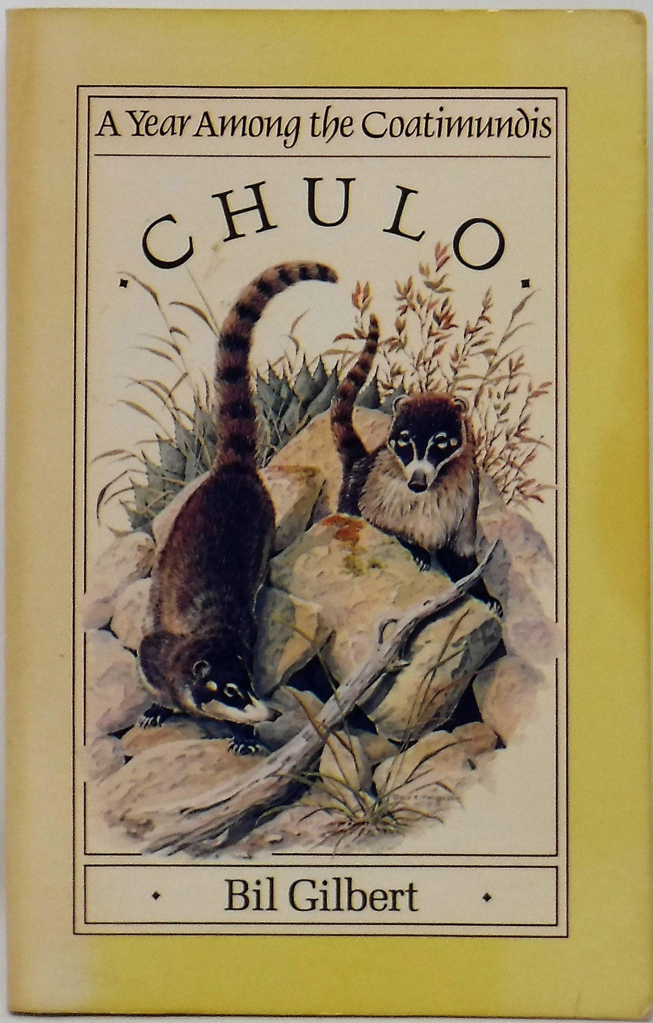 Chulo: A Year Among The Coatimundis-new