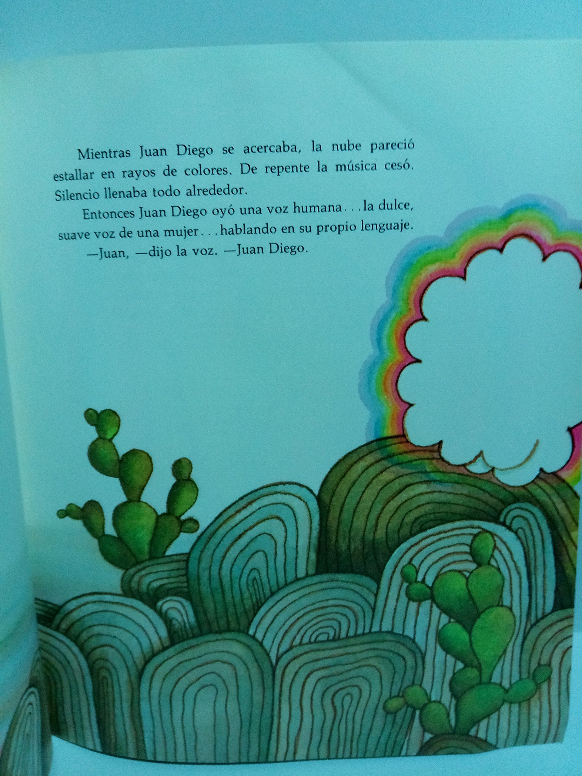 Nuestra Senora De Guadalupe (Spanish Edition),Used