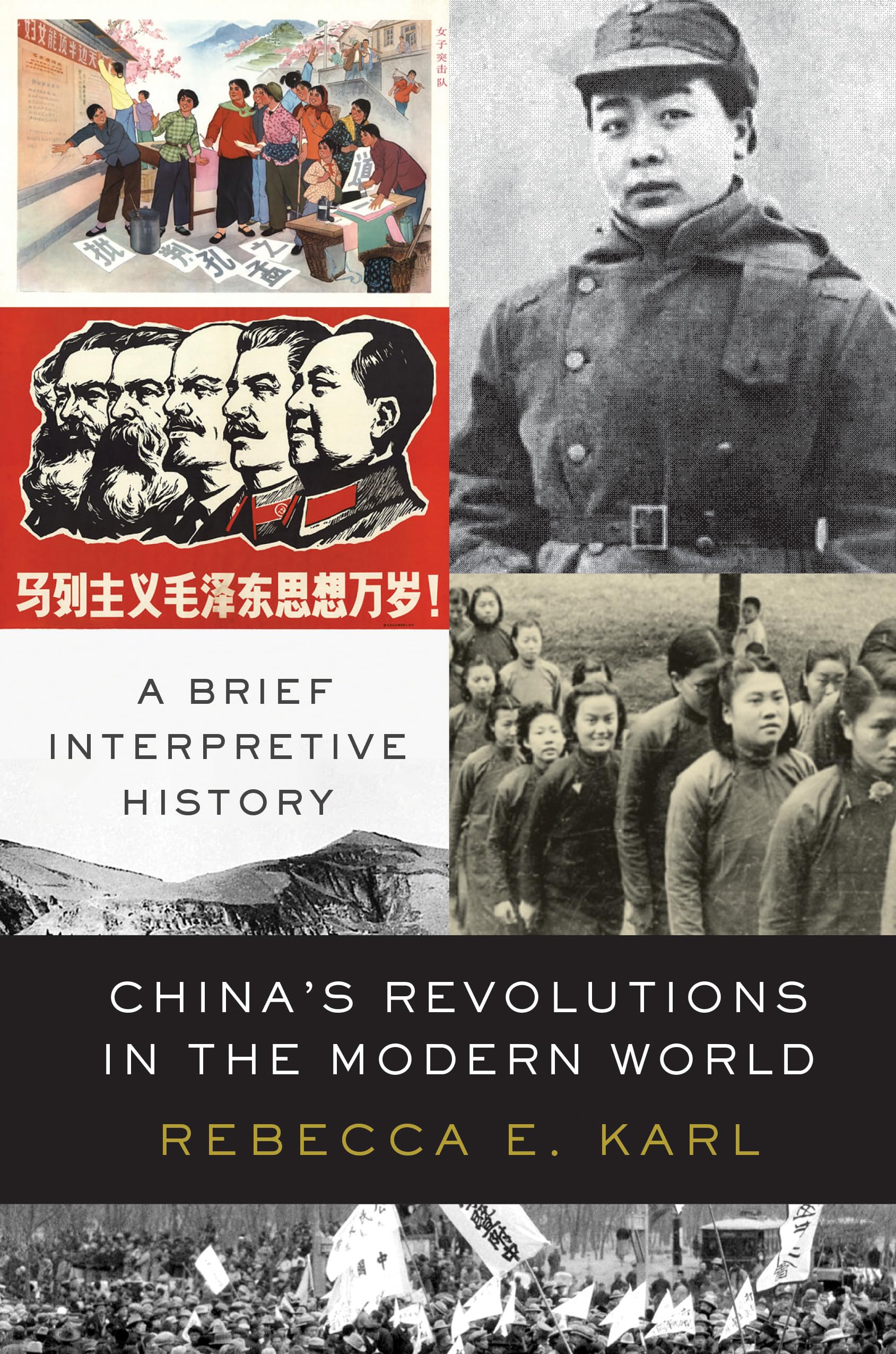 China's Revolutions in the Modern World: A Brief Interpretive History,Used