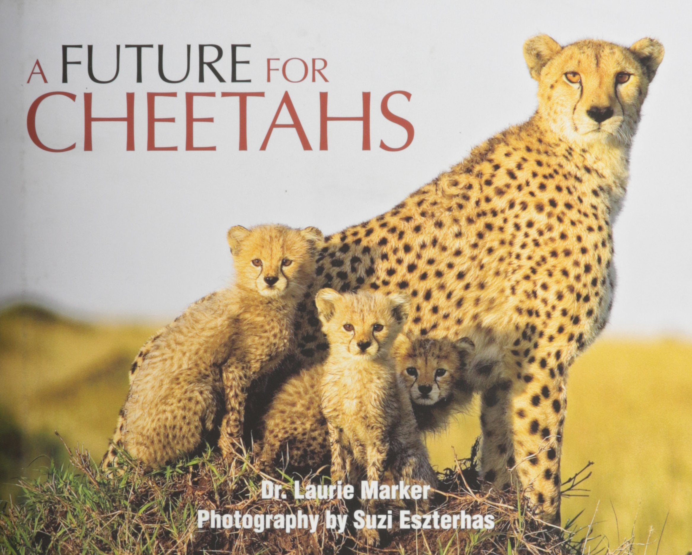 A Future For Cheetahs,Used