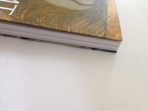 Gustav Klimt: Art Nouveau Visionary,Used