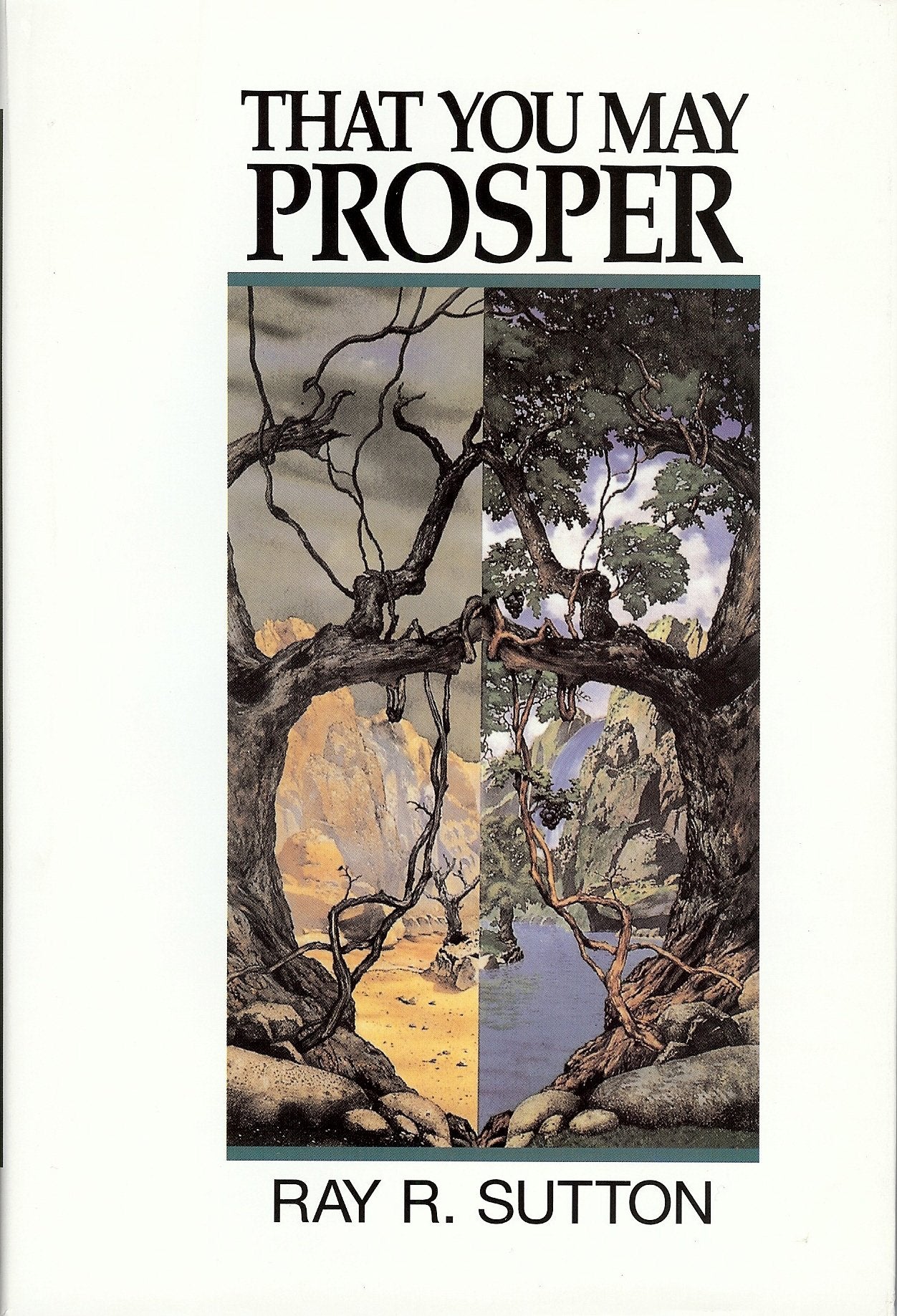 That You May Prosper: Dominion by Covenant,Used