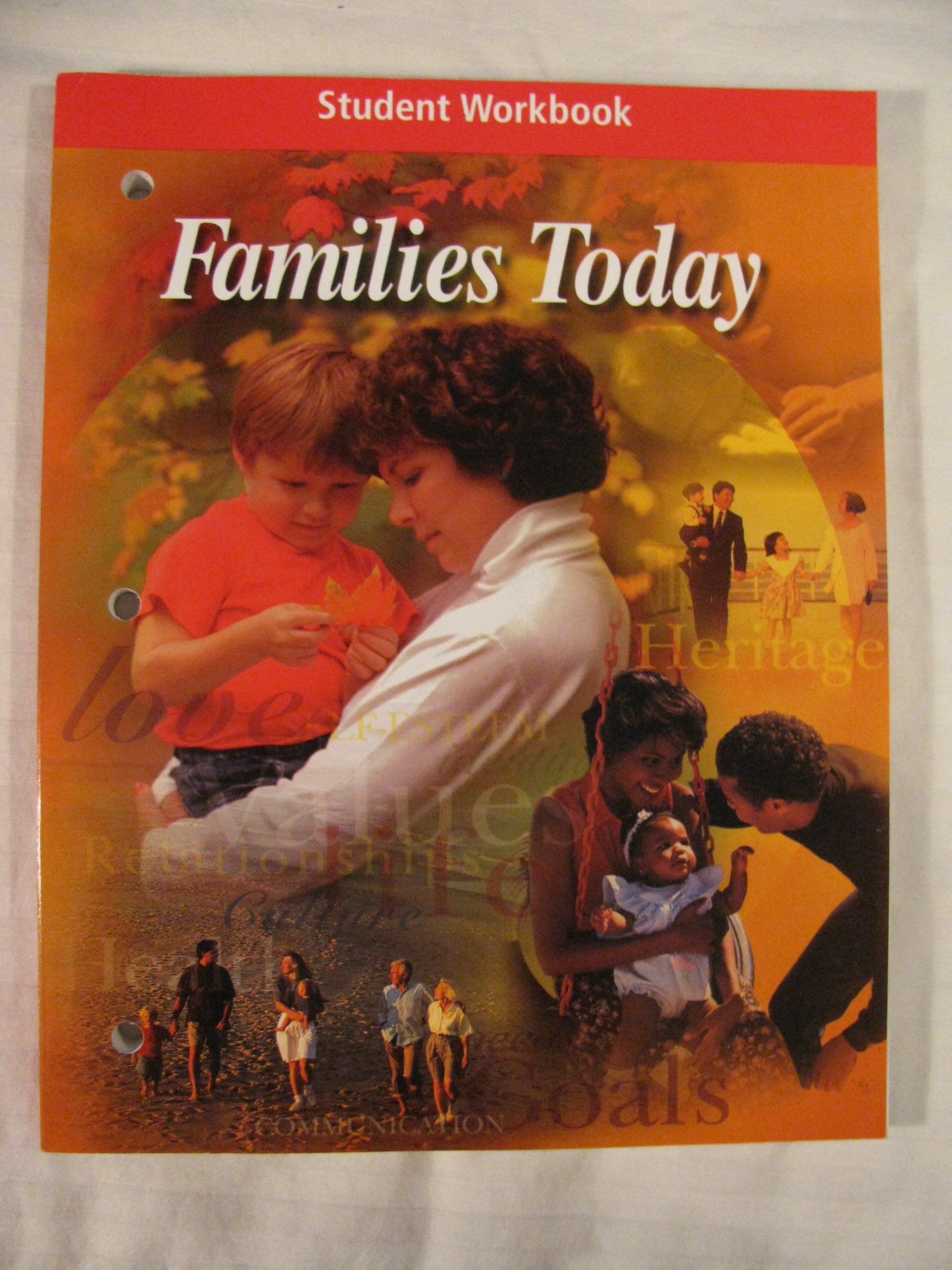 Families Today: Student Workbook,Used