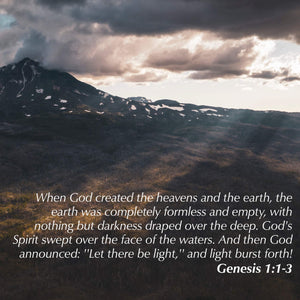 The Book of Genesis: Firstfruits (The Passion Translation) (Paperback)  A Heartfelt Translation of the Book of Genesis and the ,Used