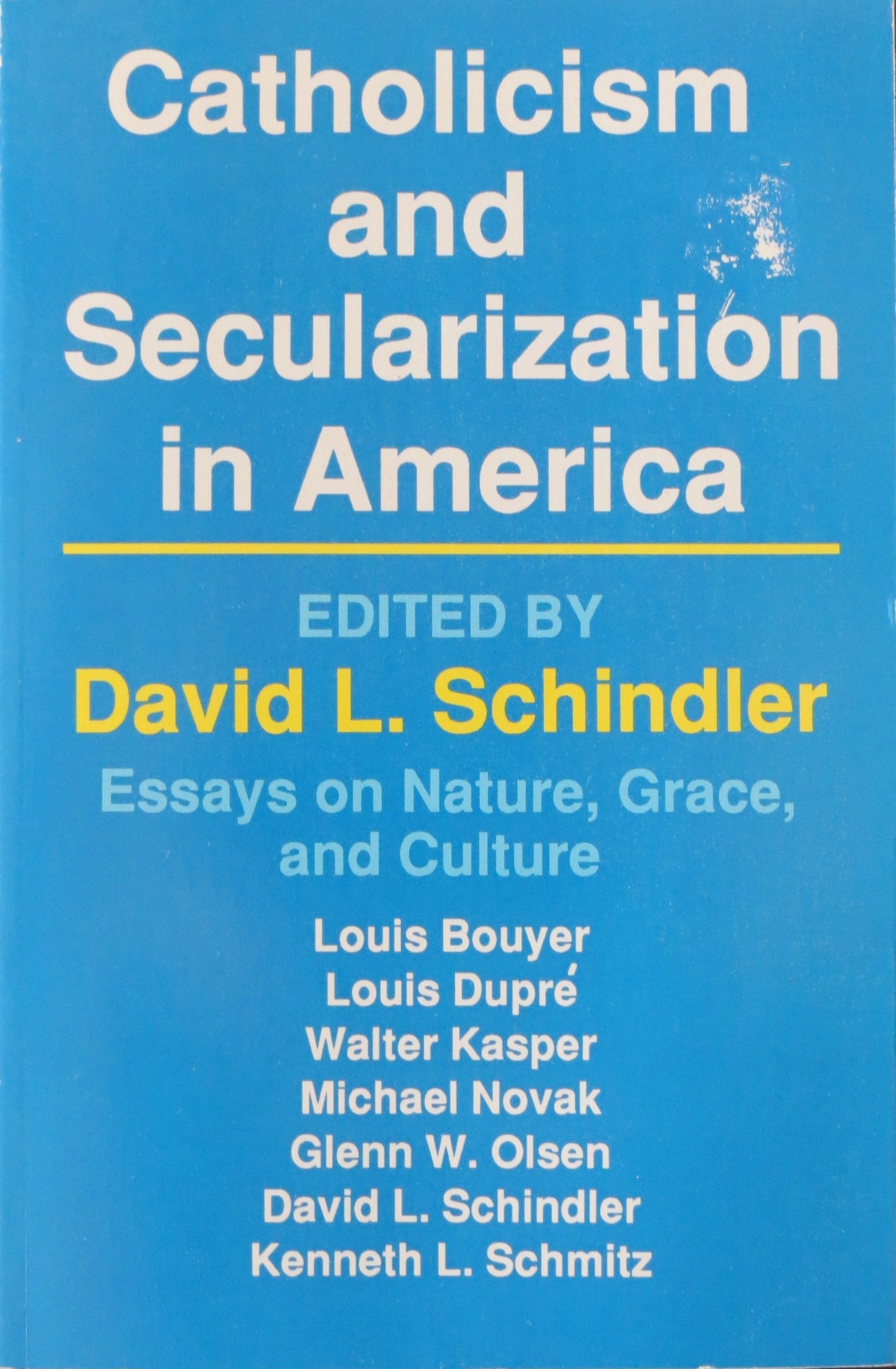 Catholicism and Secularization in America: Essays on Nature, Grace and Culture,Used