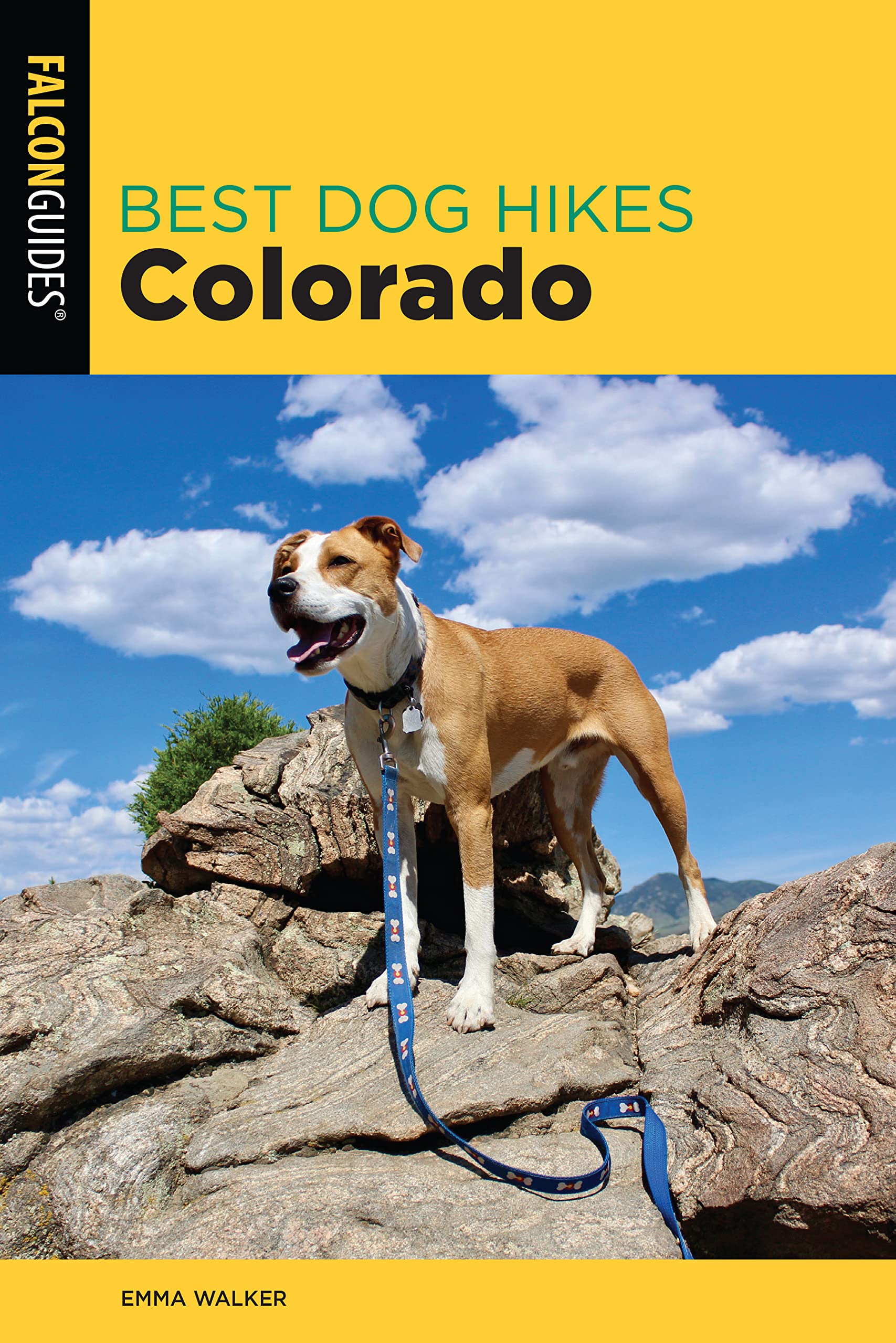 Best Dog Hikes Colorado,Used