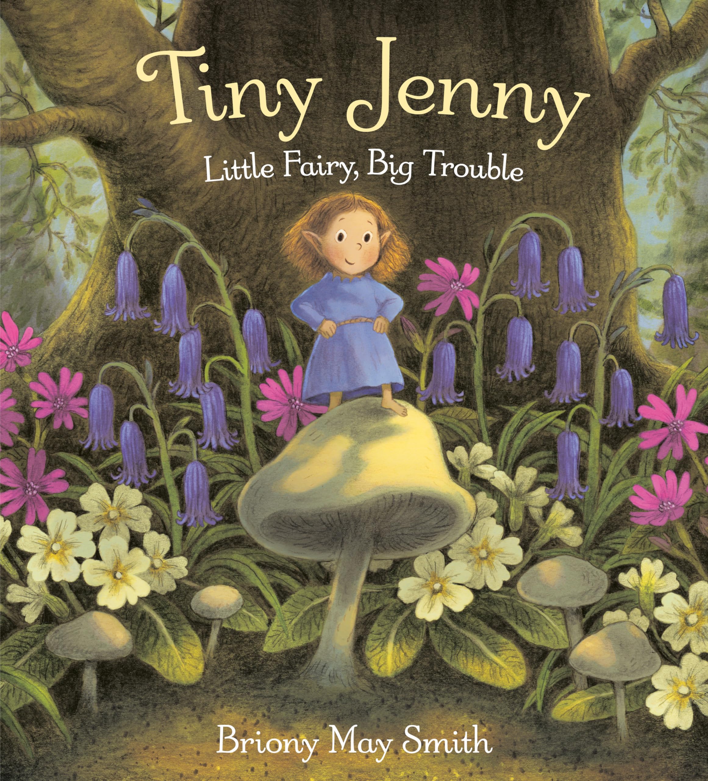 Tiny Jenny: Little Fairy, Big Trouble,Used