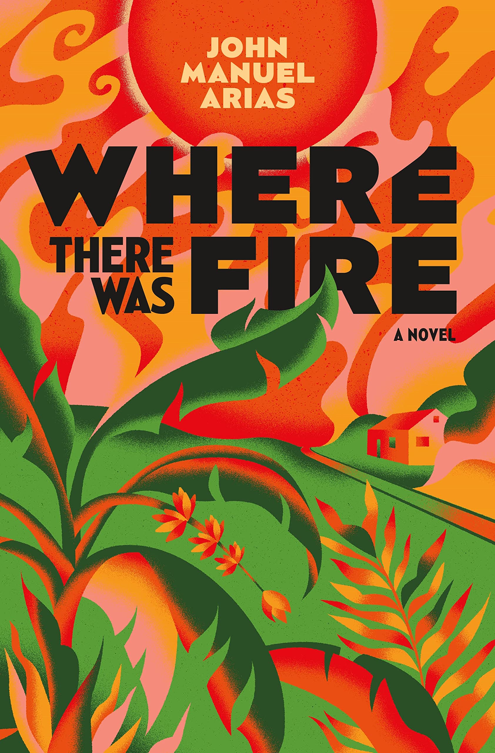 Where There Was Fire,New