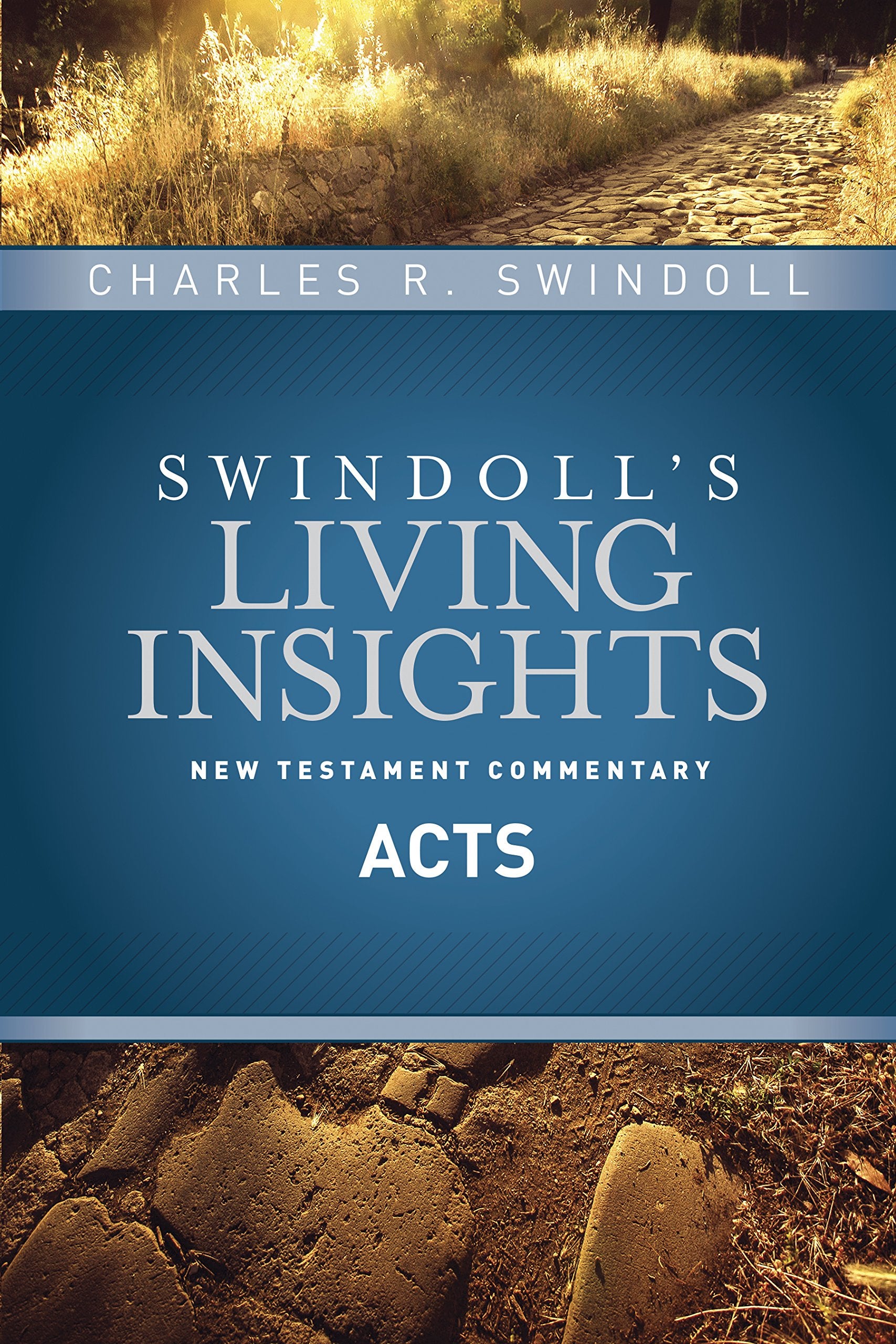 Insights on Acts (Swindoll's Living Insights New Testament Commentary),Used