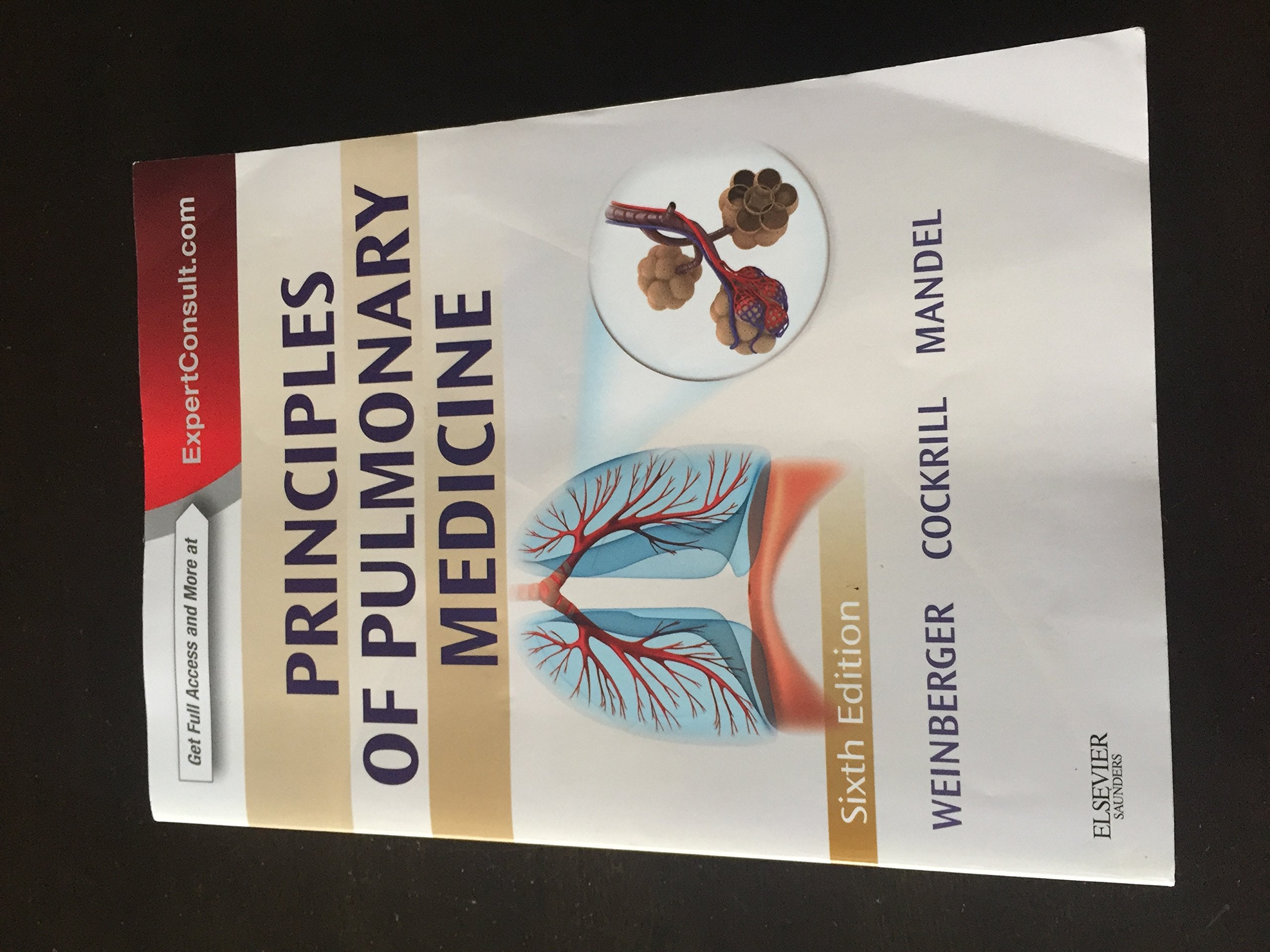 Principles of Pulmonary Medicine: Expert Consult  Online and Print (PRINCIPLES OF PULMONARY MEDICINE (WEINBERGER)),Used