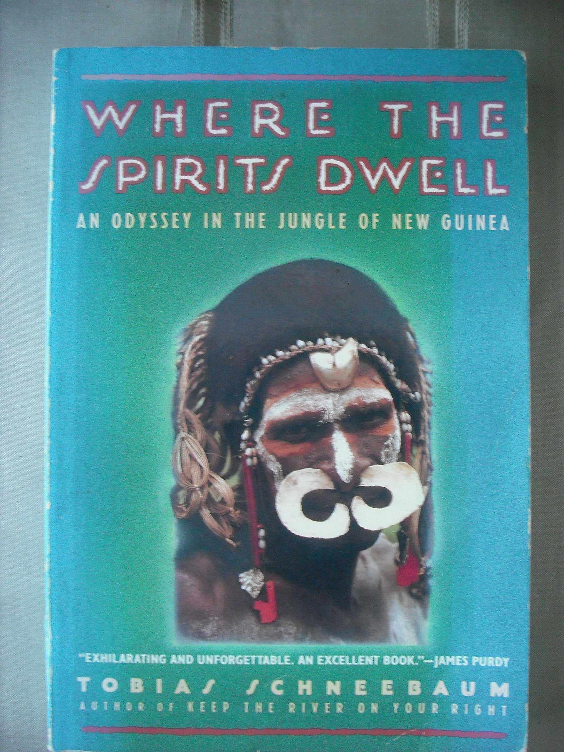 Where the Spirits Dwell: An Odyssey in the Jungle of New Guinea