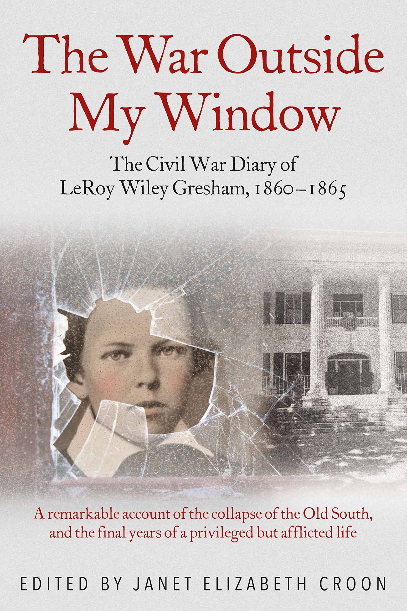 The War Outside My Window: The Civil War Diary Of Leroy Wiley Gresham, 18601865
