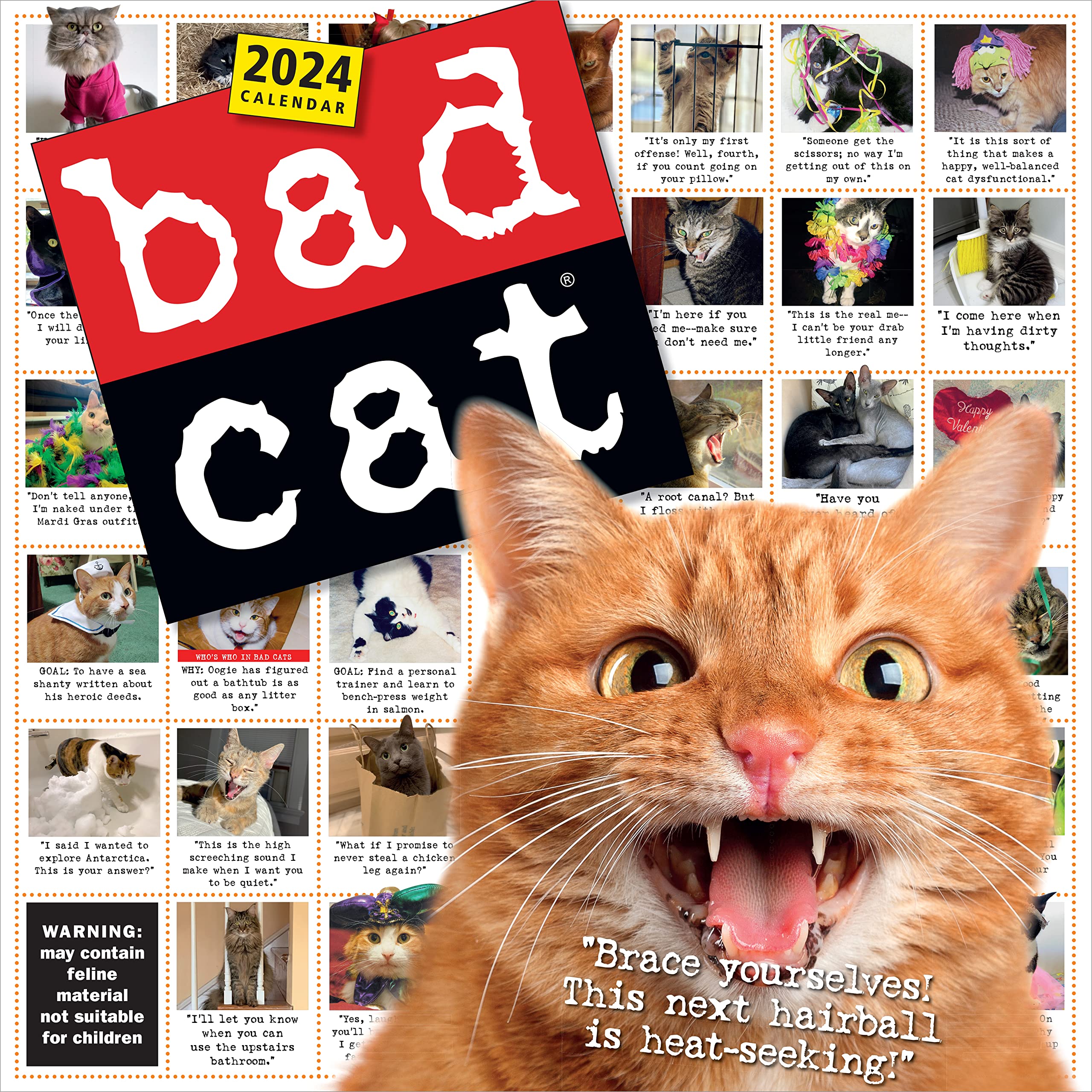 Bad Cat Wall Calendar 2024: Celebrating The Misfits Of The Feline World