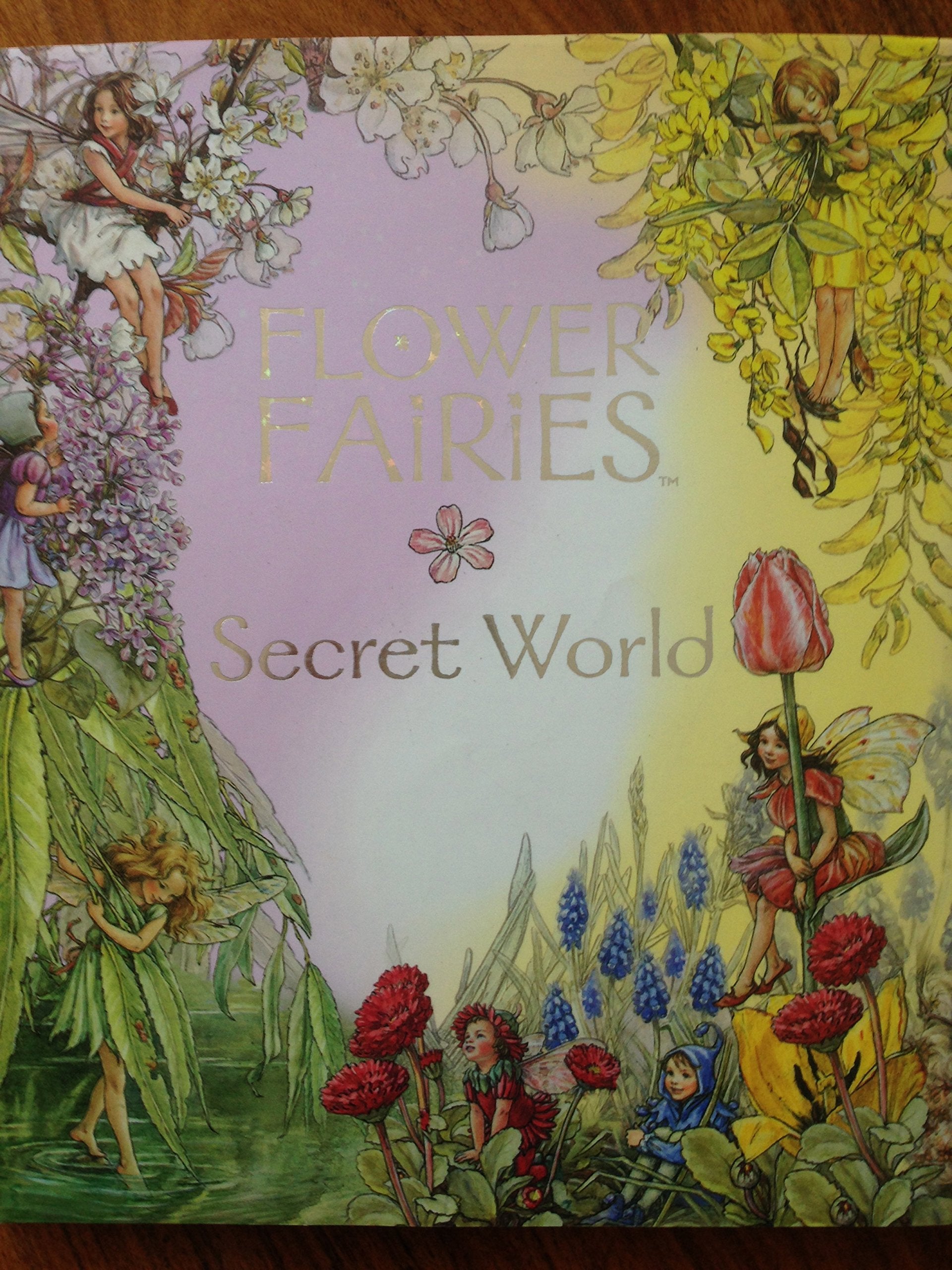 Flower Fairies Secret World,Used