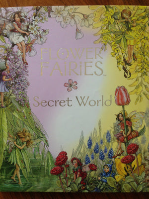 Flower Fairies Secret World,Used