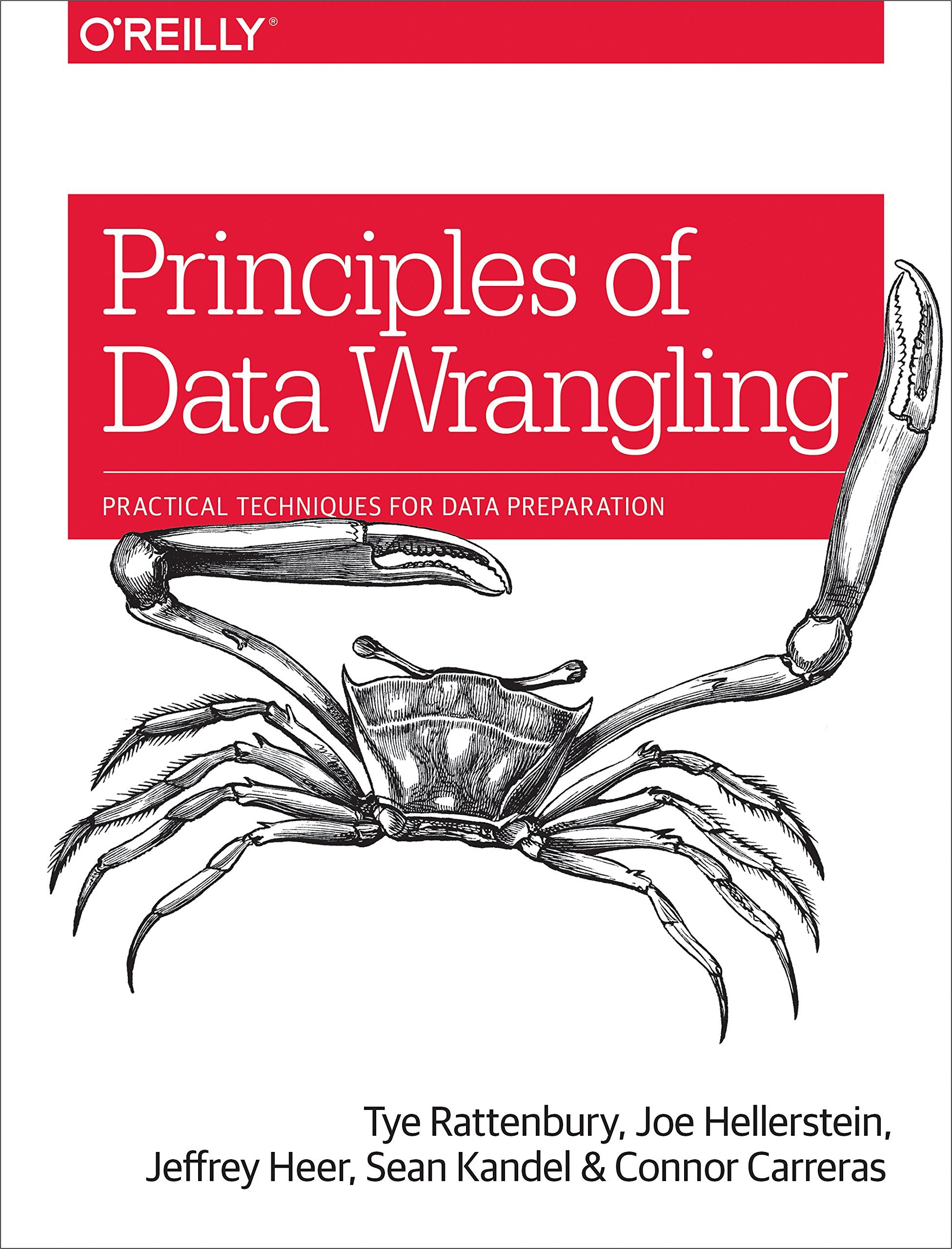 Principles of Data Wrangling: Practical Techniques for Data Preparation,Used