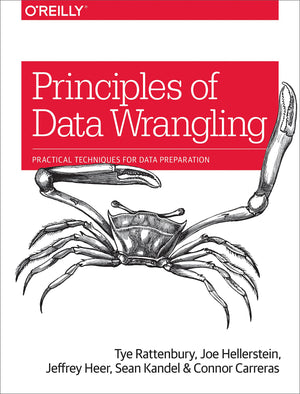 Principles of Data Wrangling: Practical Techniques for Data Preparation,Used