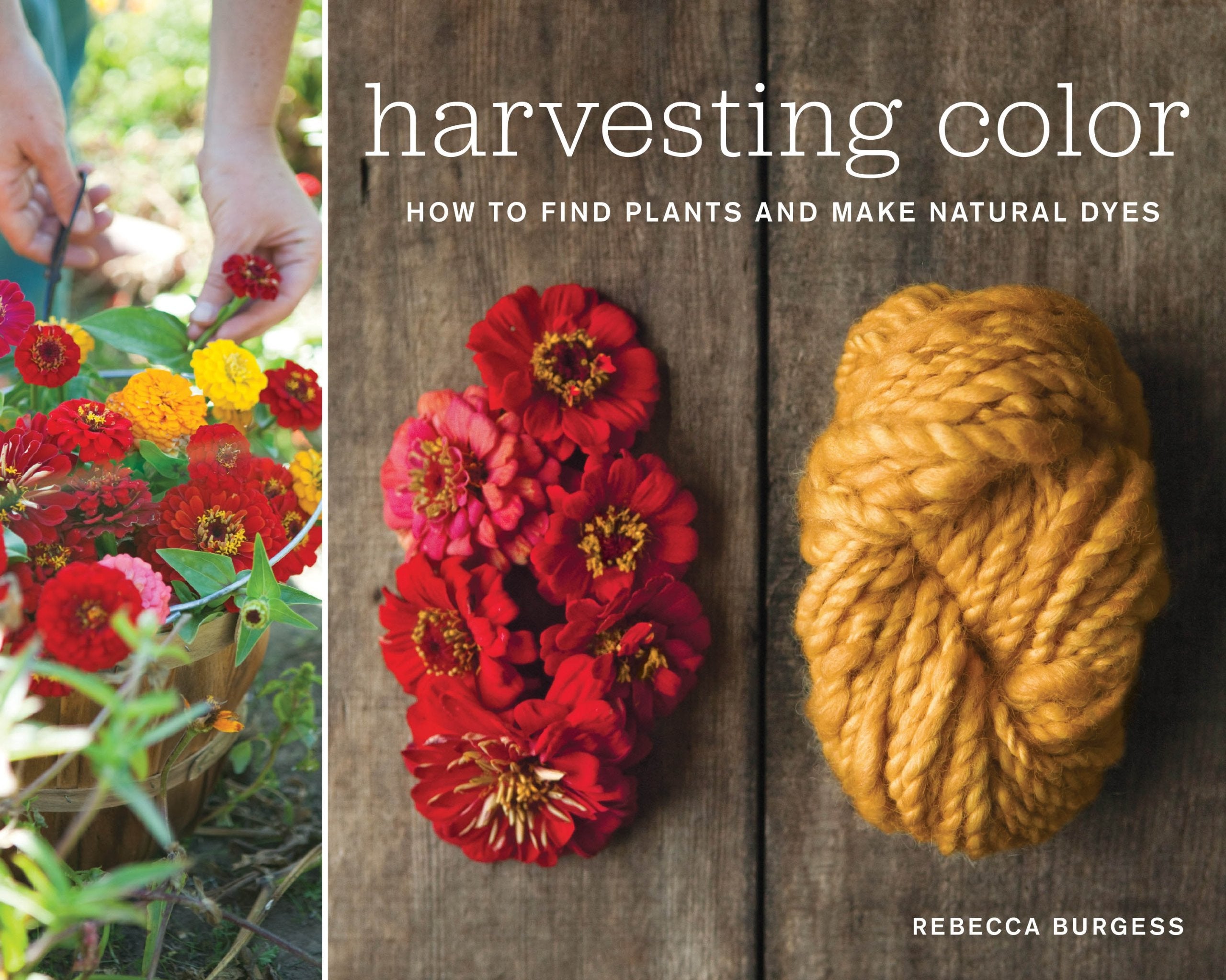 Harvesting Color: How to Find Plants and Make Natural Dyes,Used