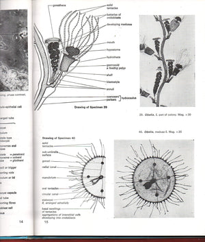 ATLAS INVERTEBRATE STRUCTURE,Used