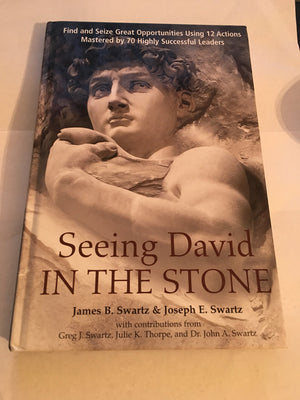 Seeing David In The Stone,New