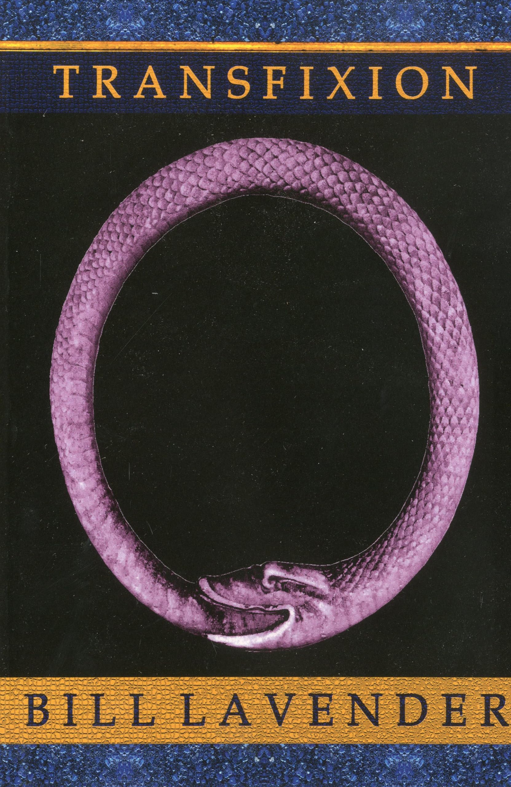 Transfixion,Used