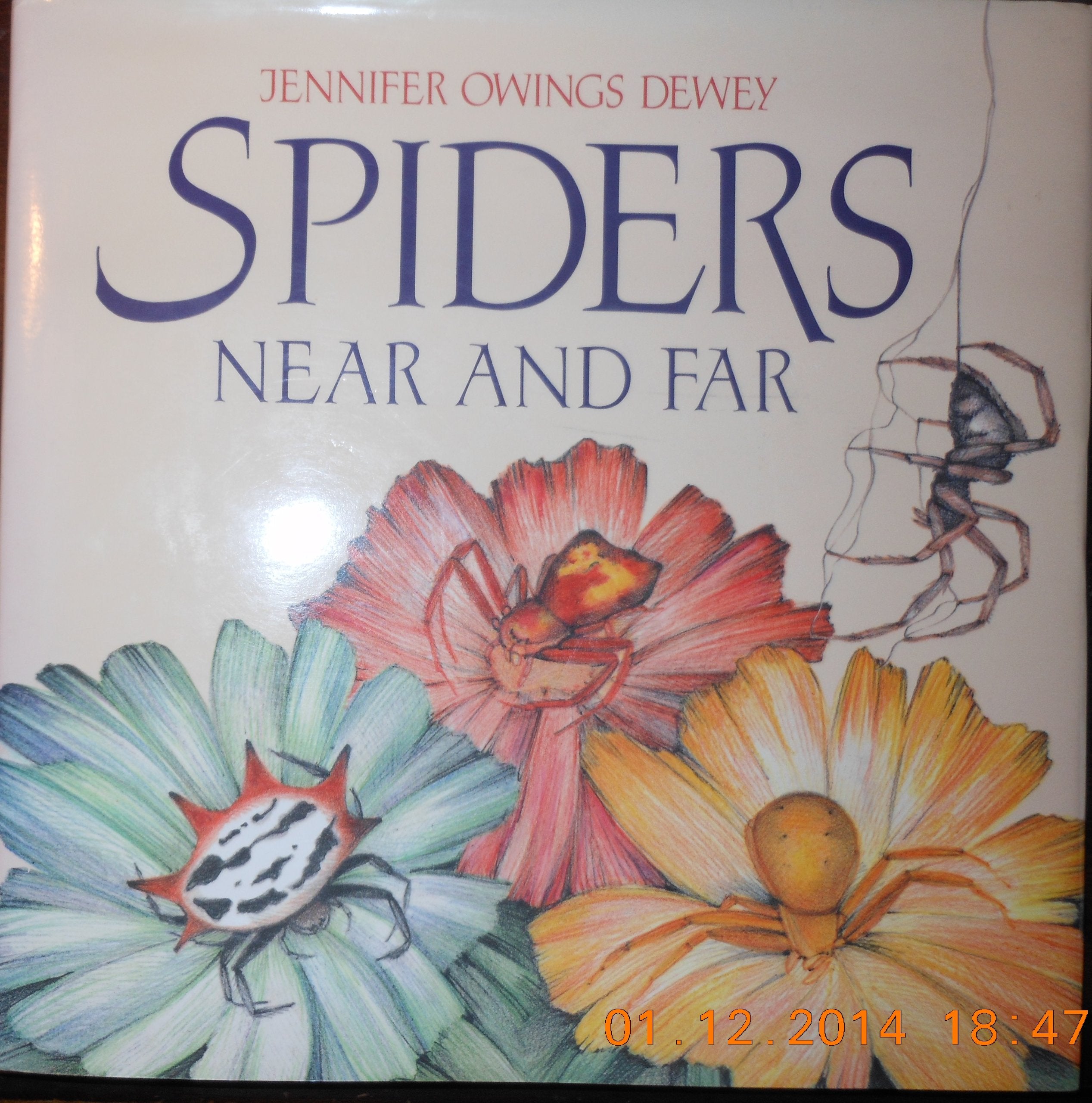 Spiders Near and Far,Used