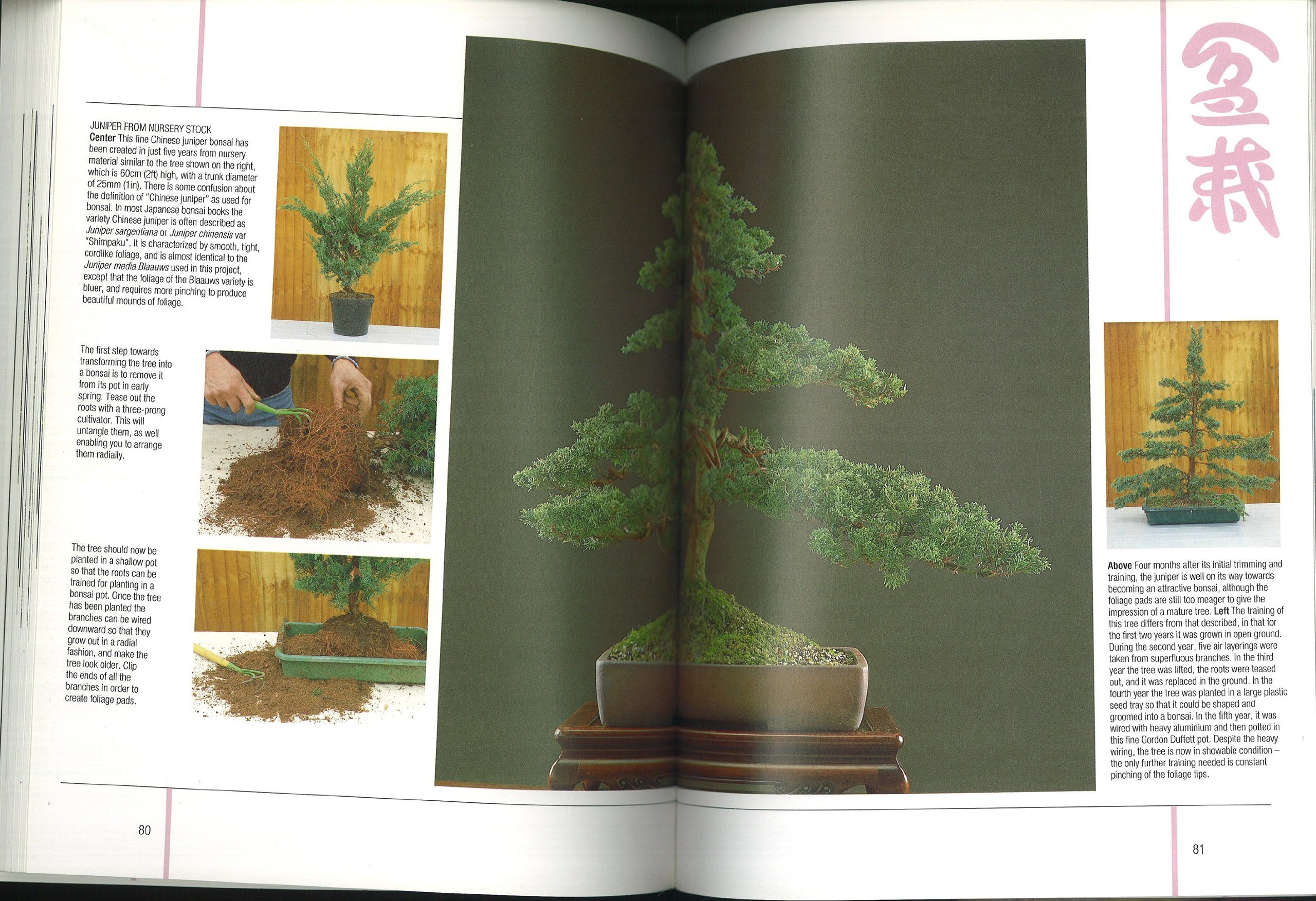 Bonsai Masterclass/All You Need to Know About Creating Bonsai from One of the World's Top Experts,New