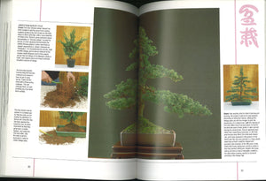 Bonsai Masterclass/All You Need to Know About Creating Bonsai from One of the World's Top Experts,New