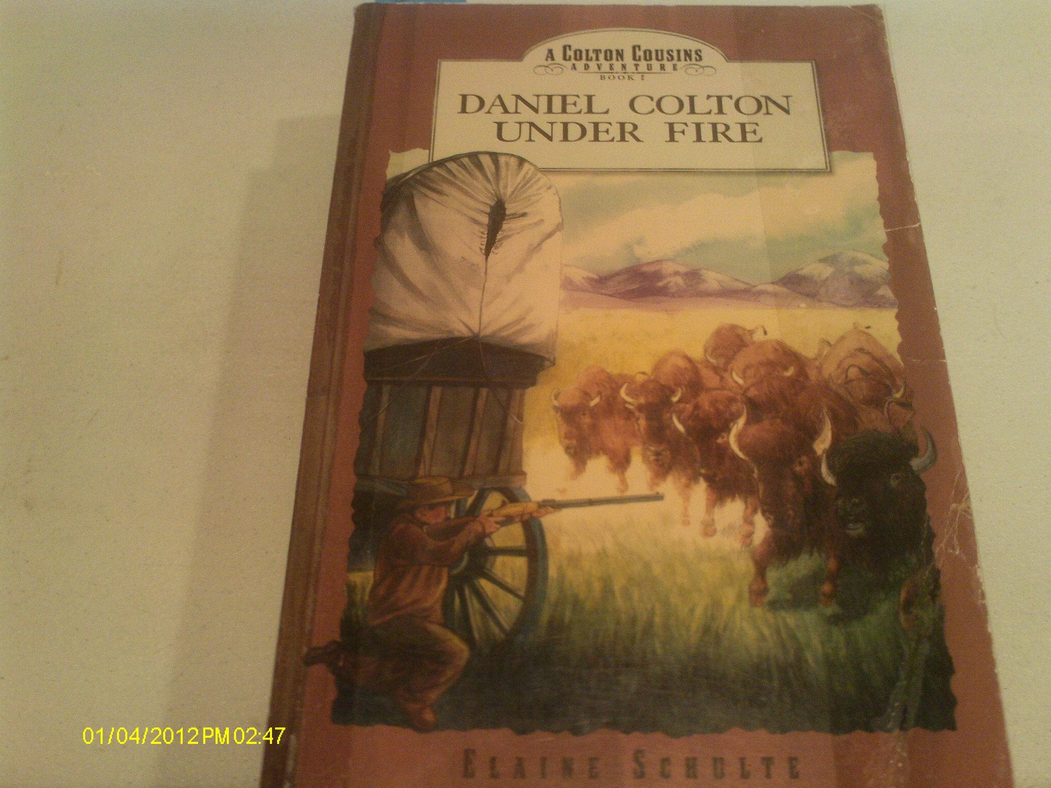 Daniel Colton Under Fire (Colton Cousins Adventure, Bk. 2.),Used