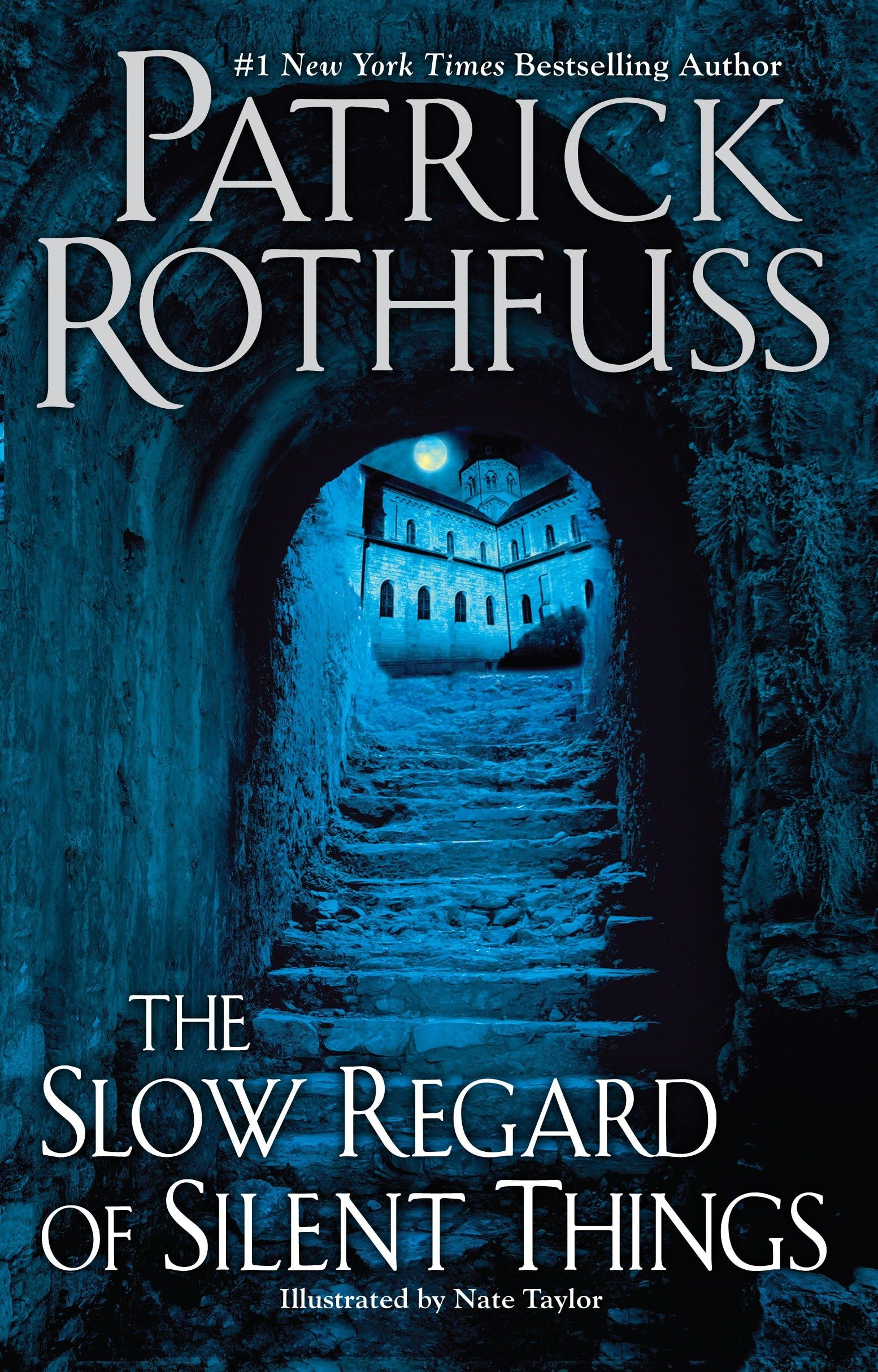 The Slow Regard Of Silent Things,New