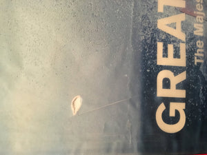Great White: The Majesty Of Sharks