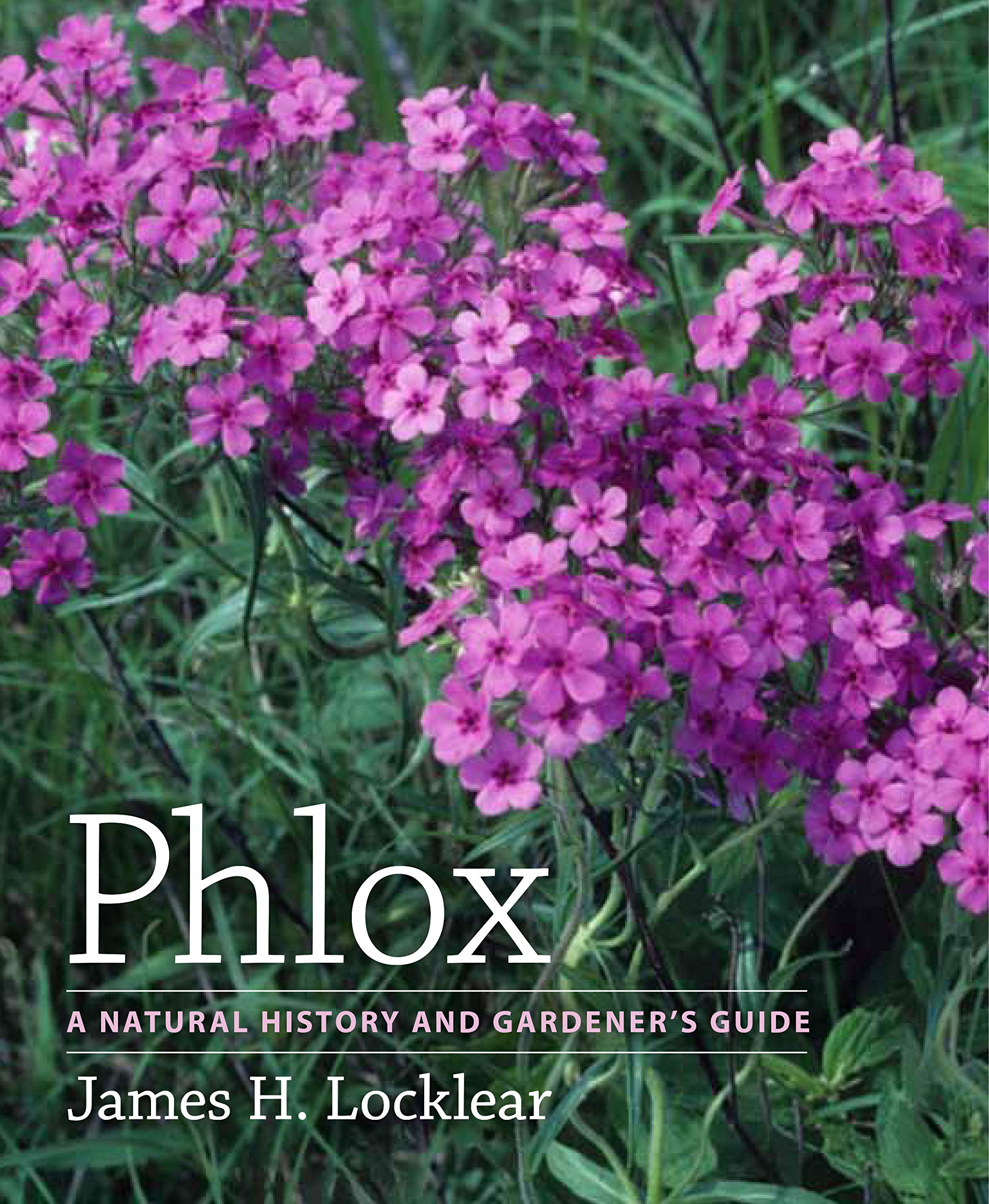 Phlox: A Natural History and Gardener's Guide,New