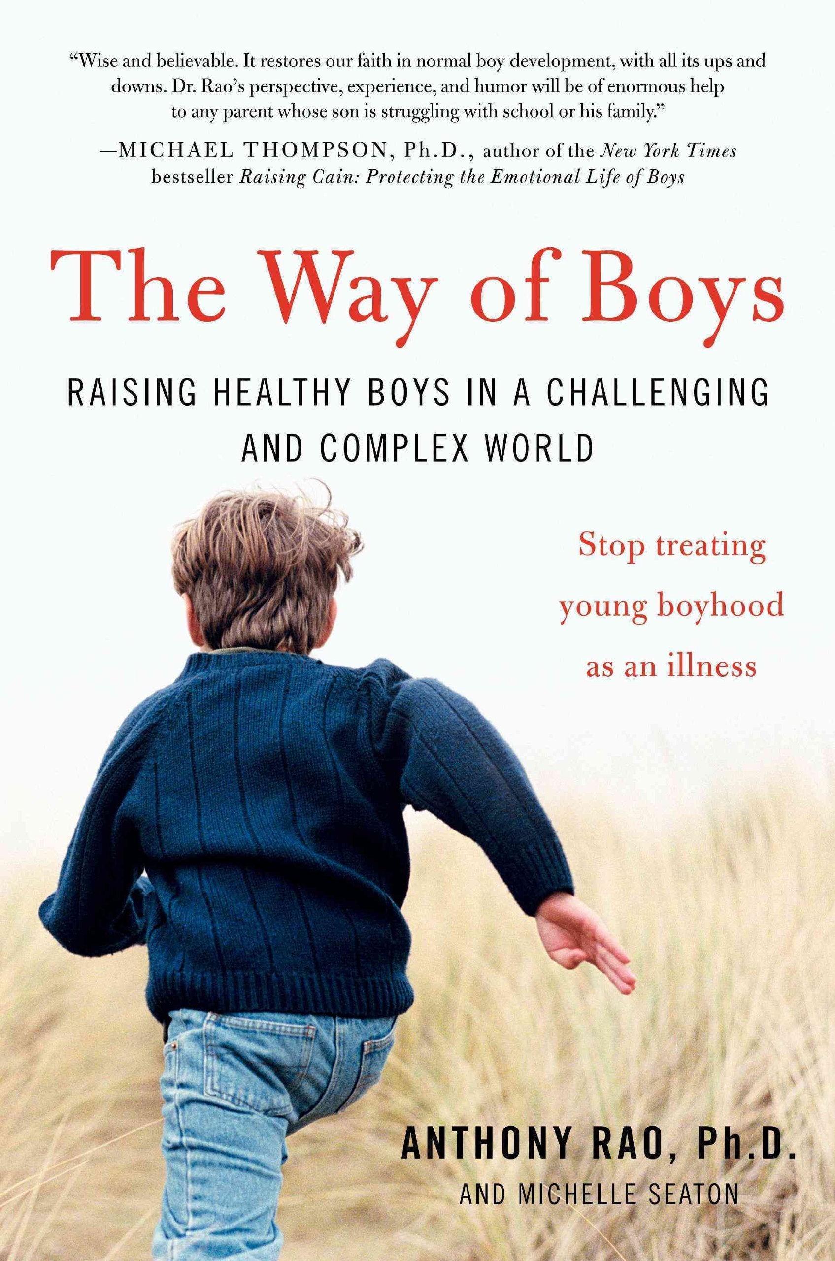 The Way Of Boys: Raising Healthy Boys In A Challenging And Complex World