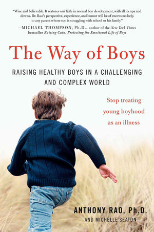 The Way Of Boys: Raising Healthy Boys In A Challenging And Complex World