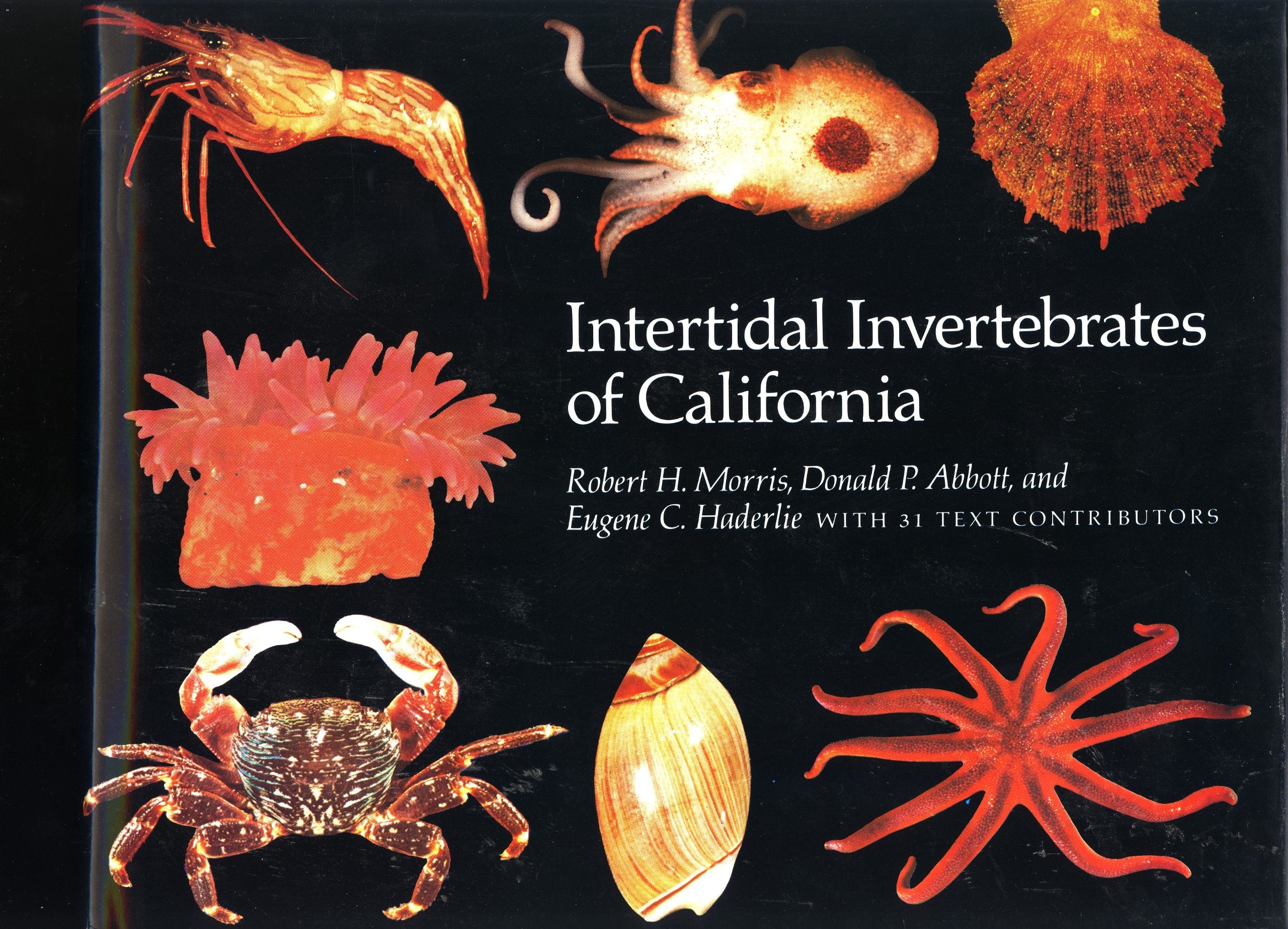 Intertidal Invertebrates of California,Used