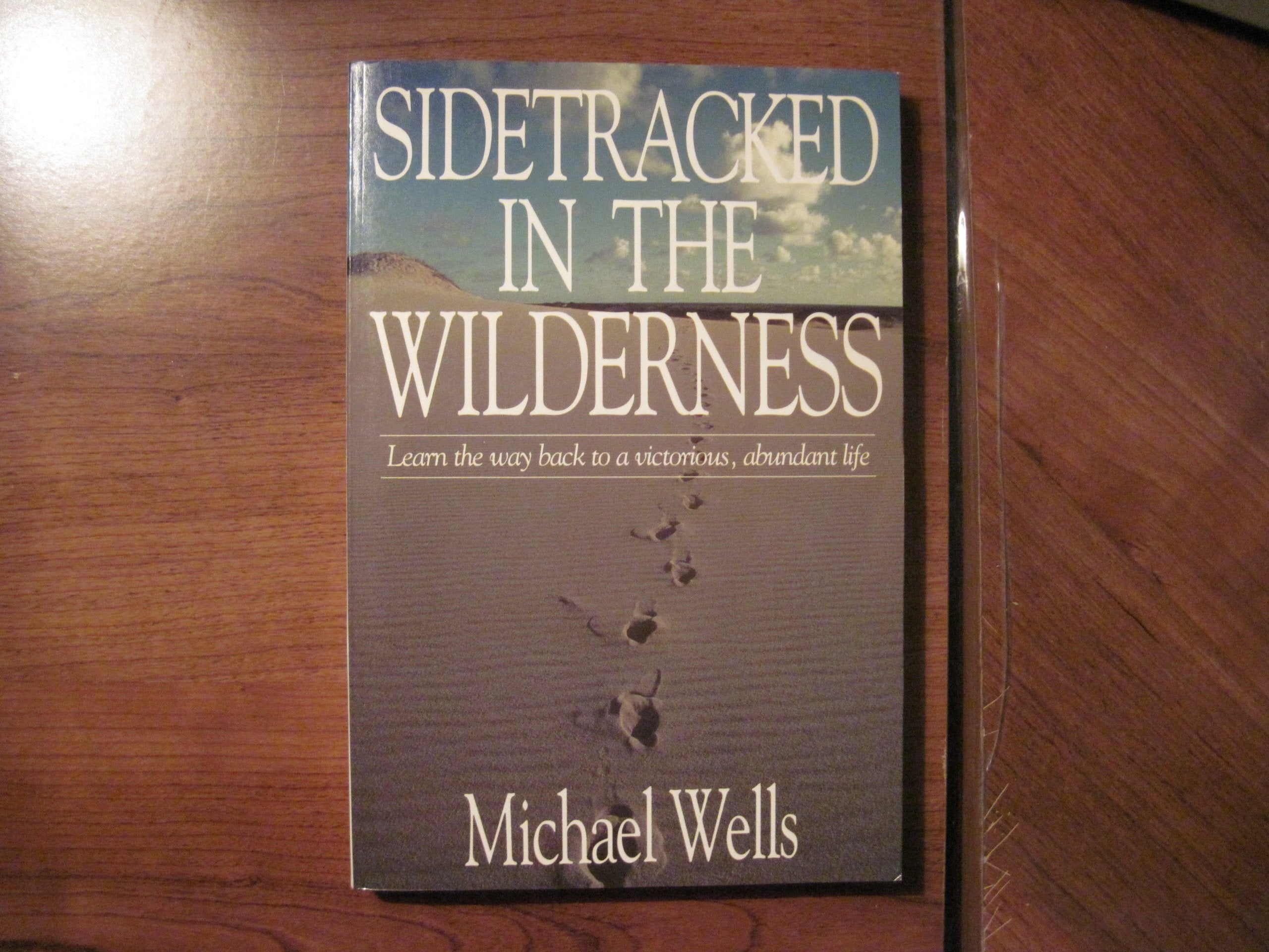 Sidetracked in the Wilderness,Used