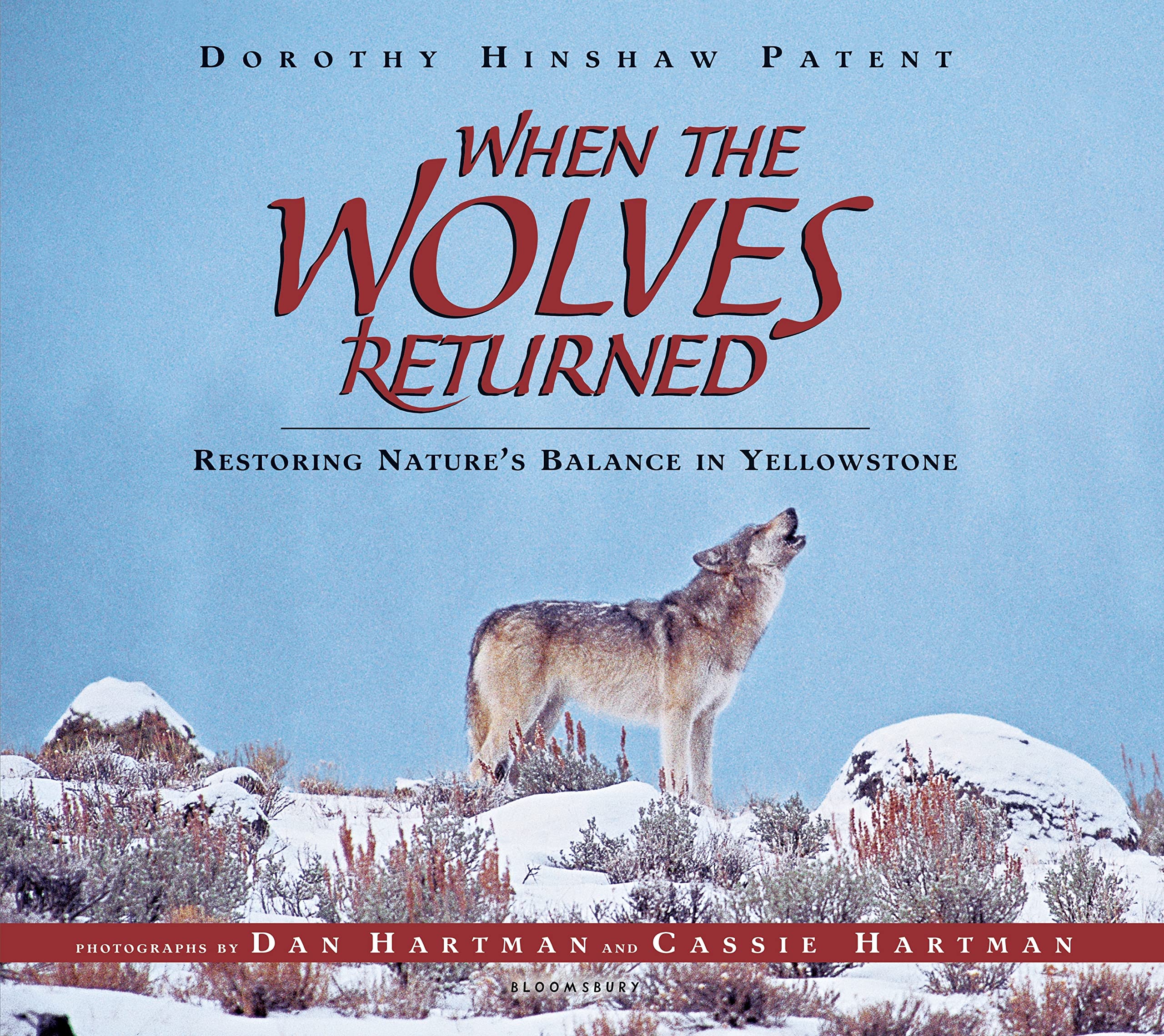 When the Wolves Returned: Restoring Nature's Balance in Yellowstone,Used