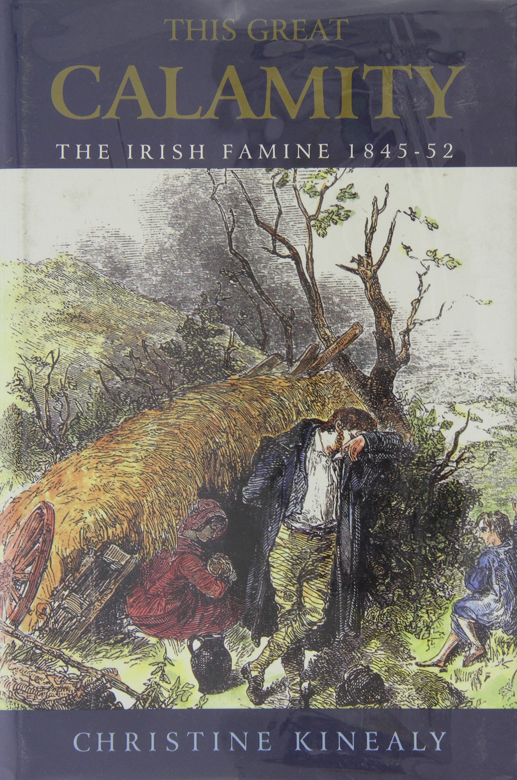 This Great Calamity: The Irish Famine 184552,Used