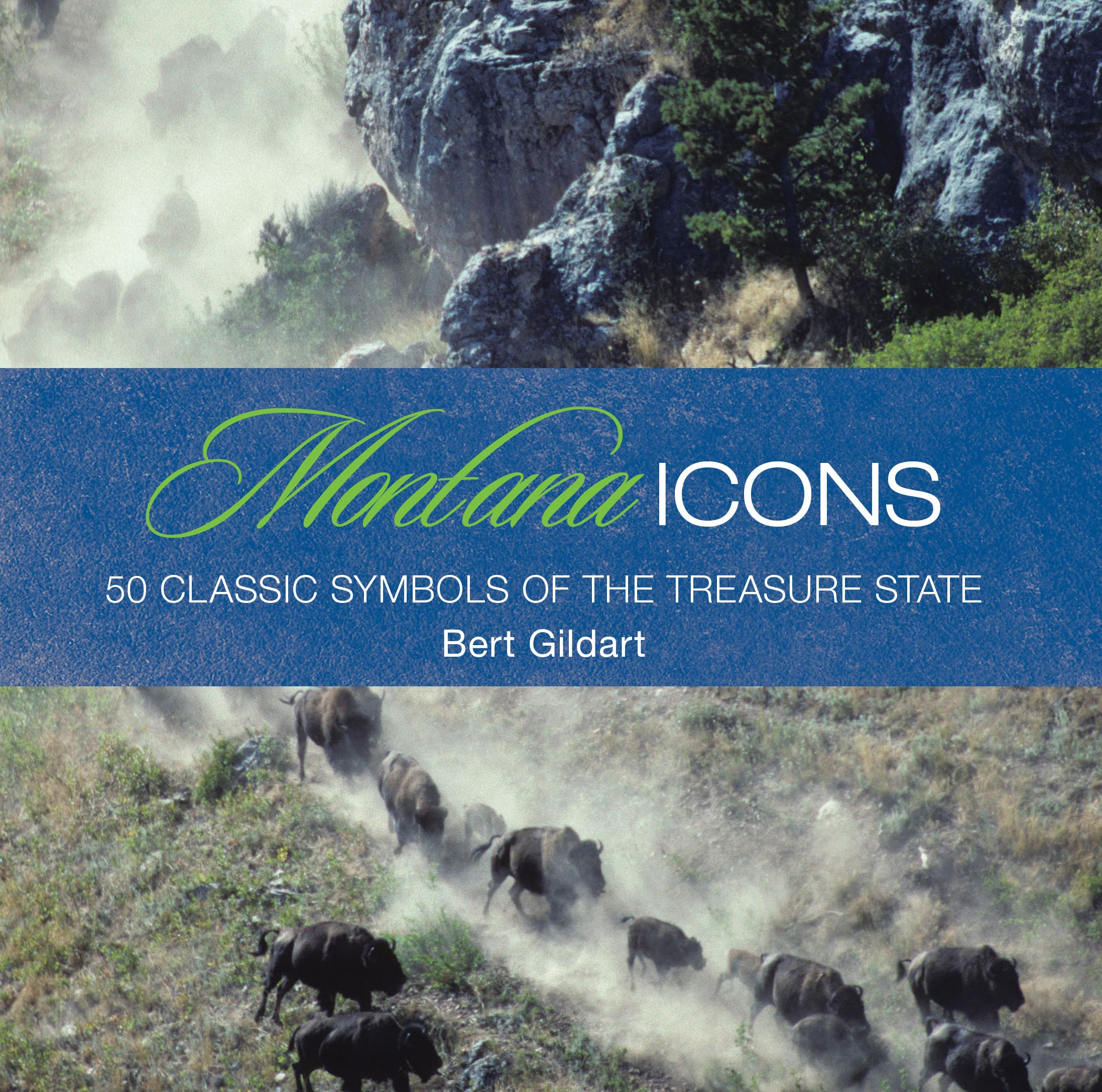Montana Icons: Fifty Classic Symbols Of The Treasure State,Used