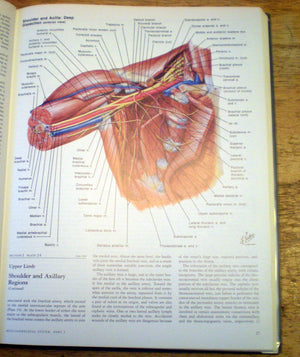 Musculoskeletal System, Part 1: Anatomy, Physiology, and Metabolic Disorders (NETTER COLLECTION OF MEDICAL ILLUSTRATIONS),Used