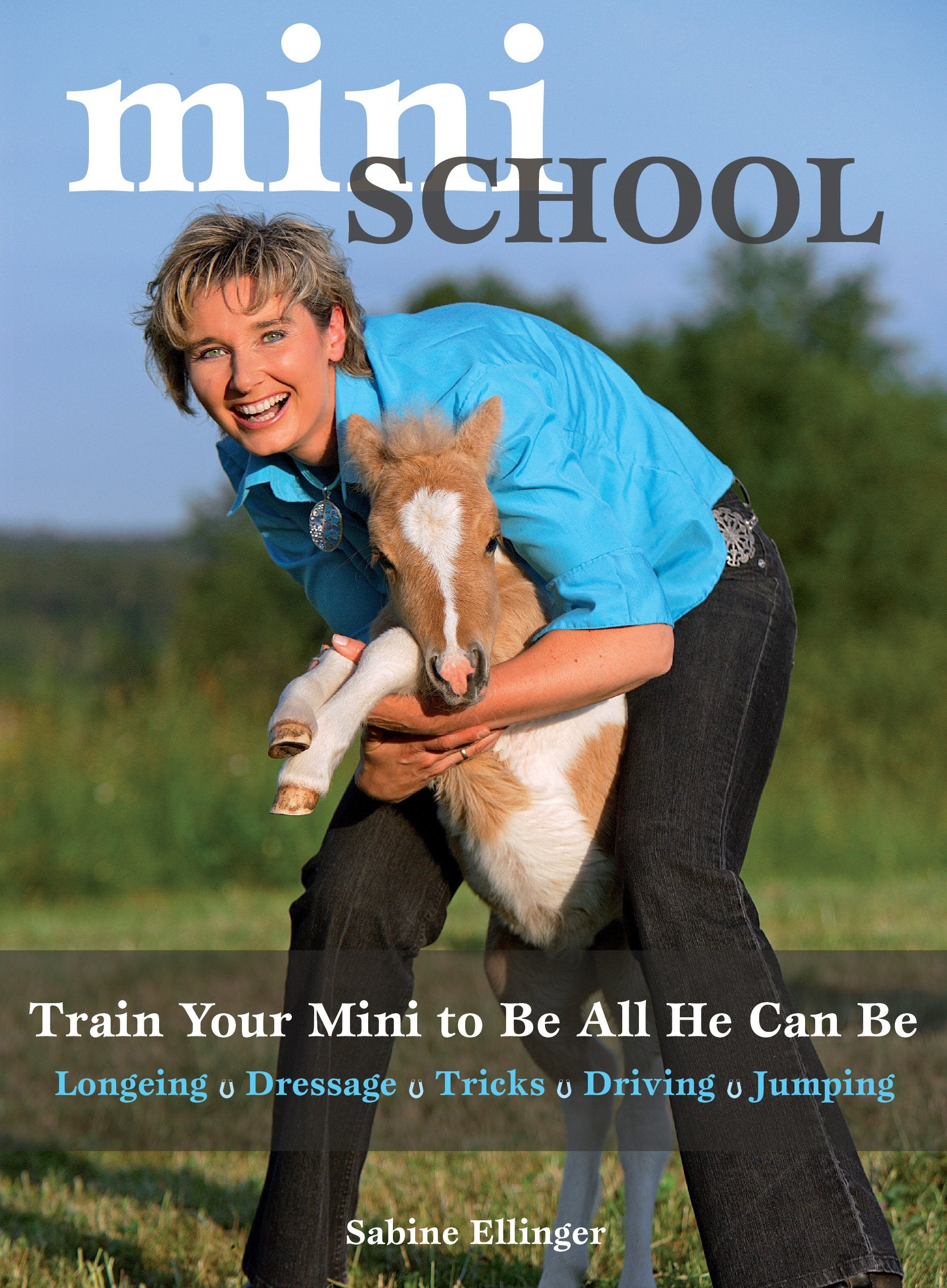 Mini School: Train Your Mini to Be All He Can Be,Used