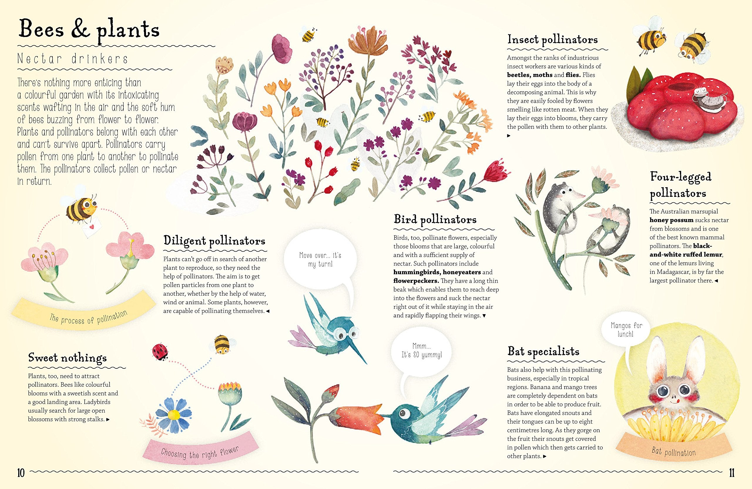Amazing Animal Friendships: Odd Couples in Nature,Used
